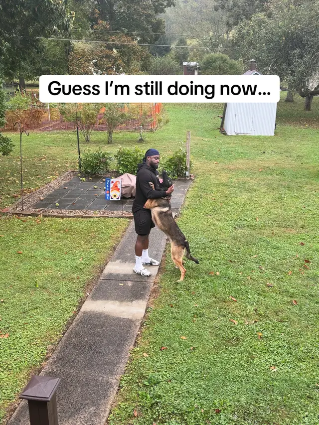 @DJ | Dog Trainer