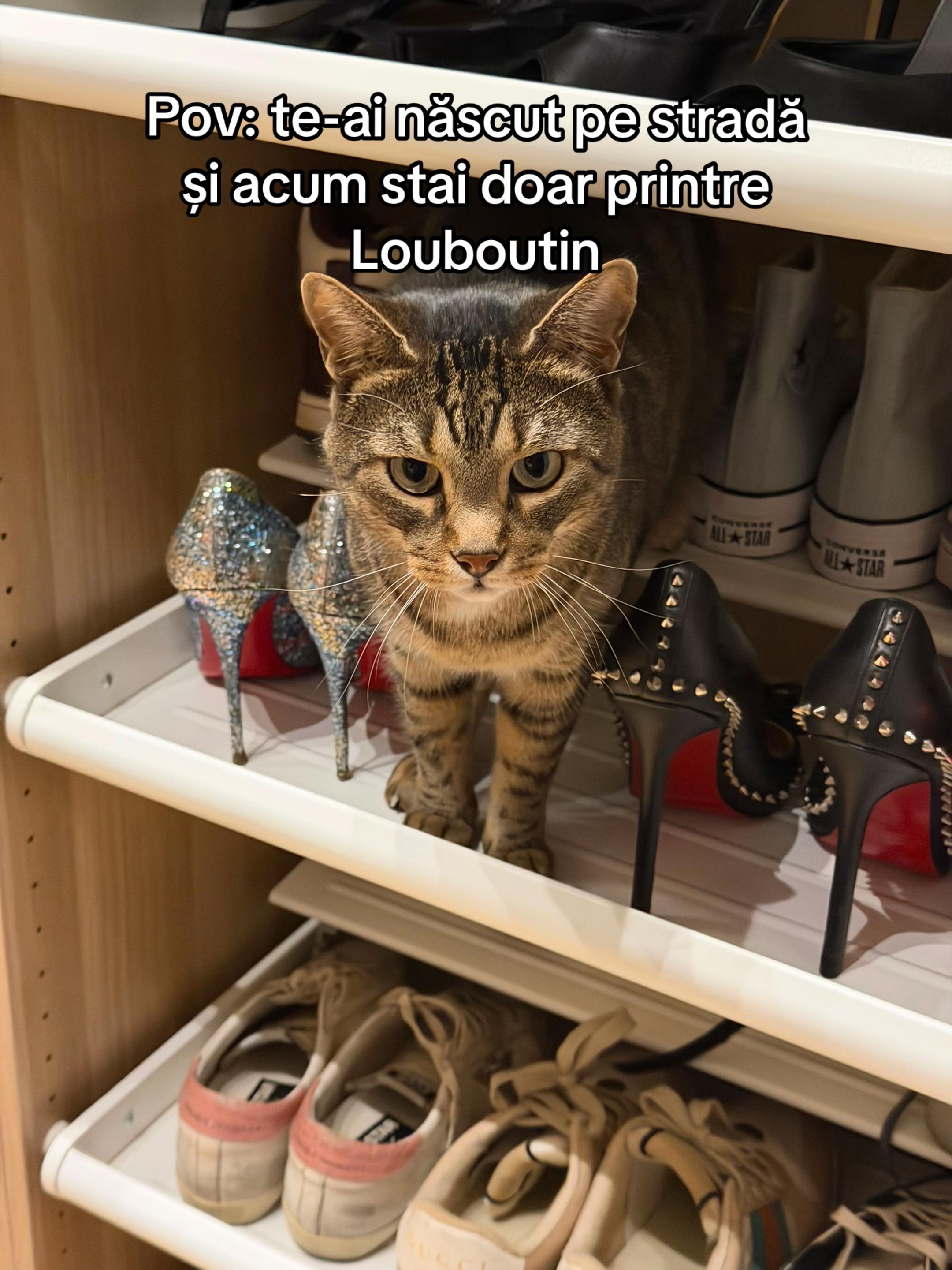 @Andra Teodoru
