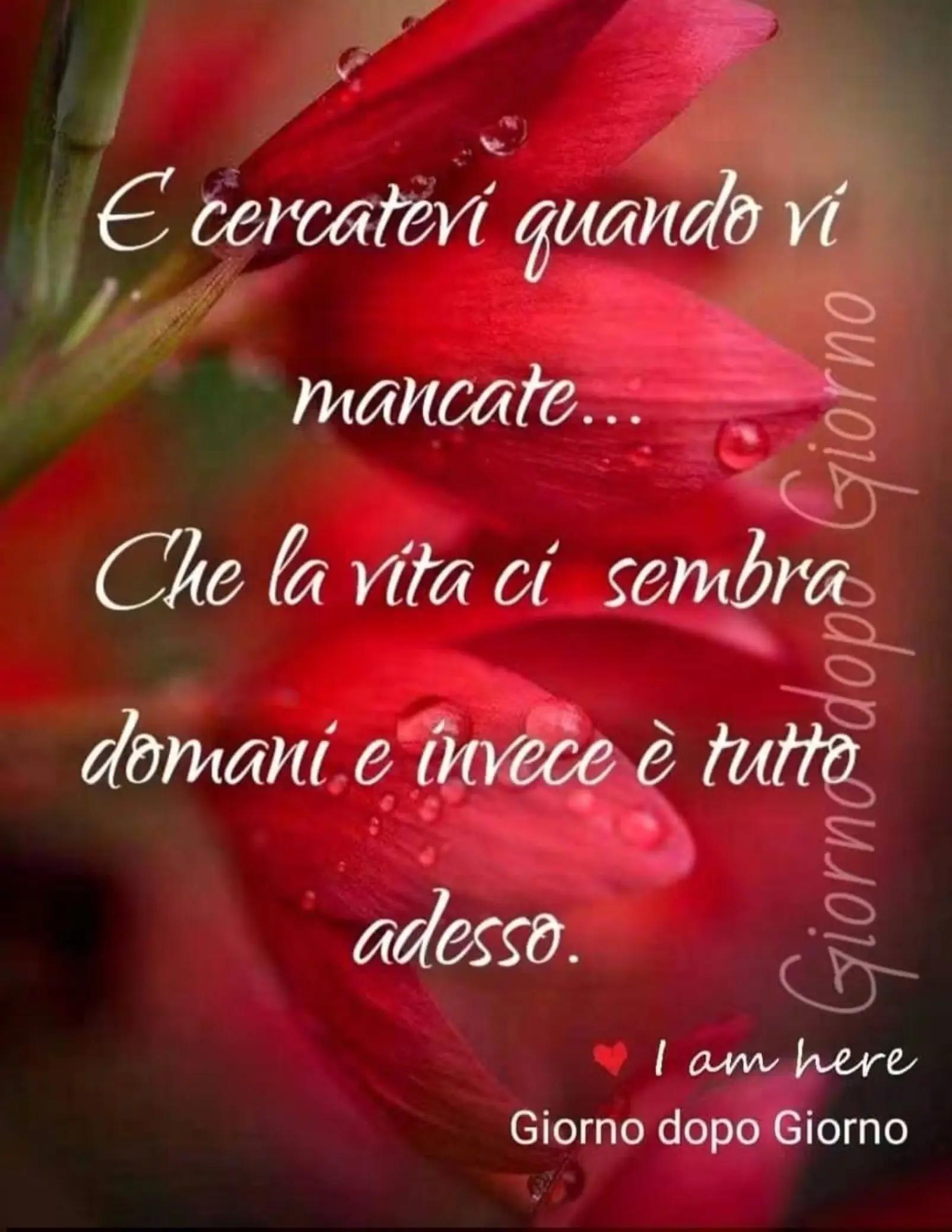 @Mariapia Digiglio