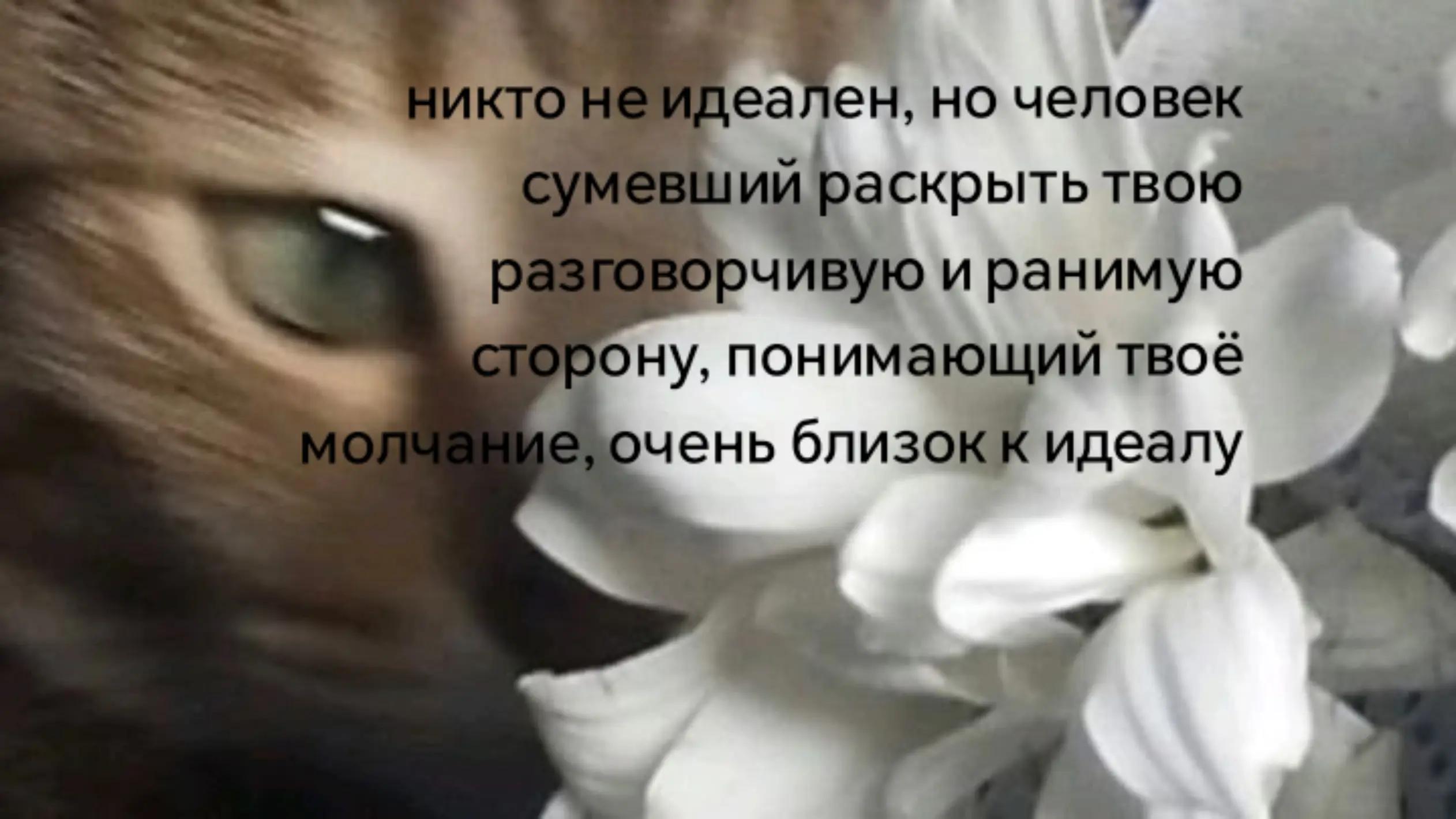 @лупикал
