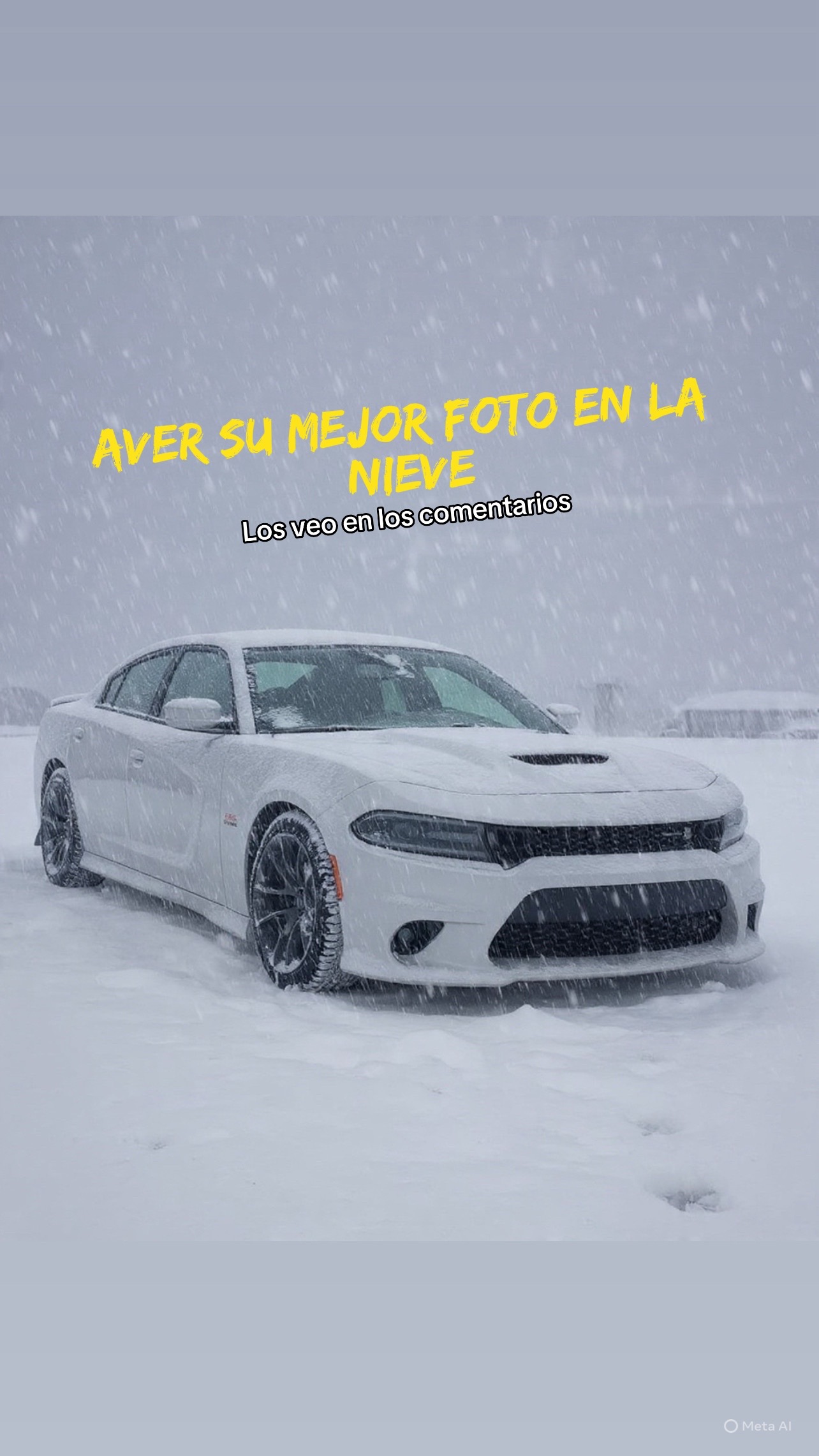 @mendoza22116