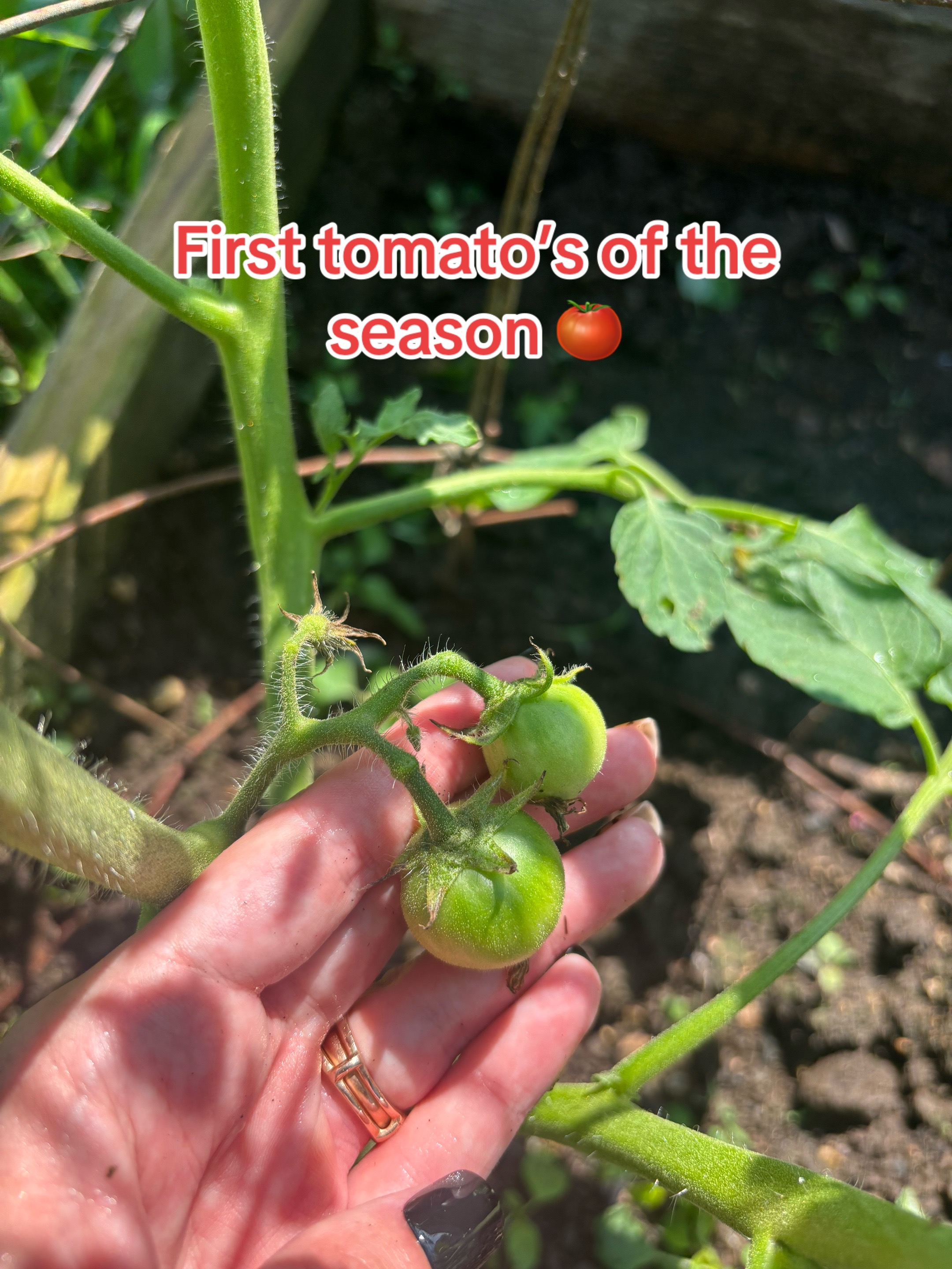 @untamed_wildflower