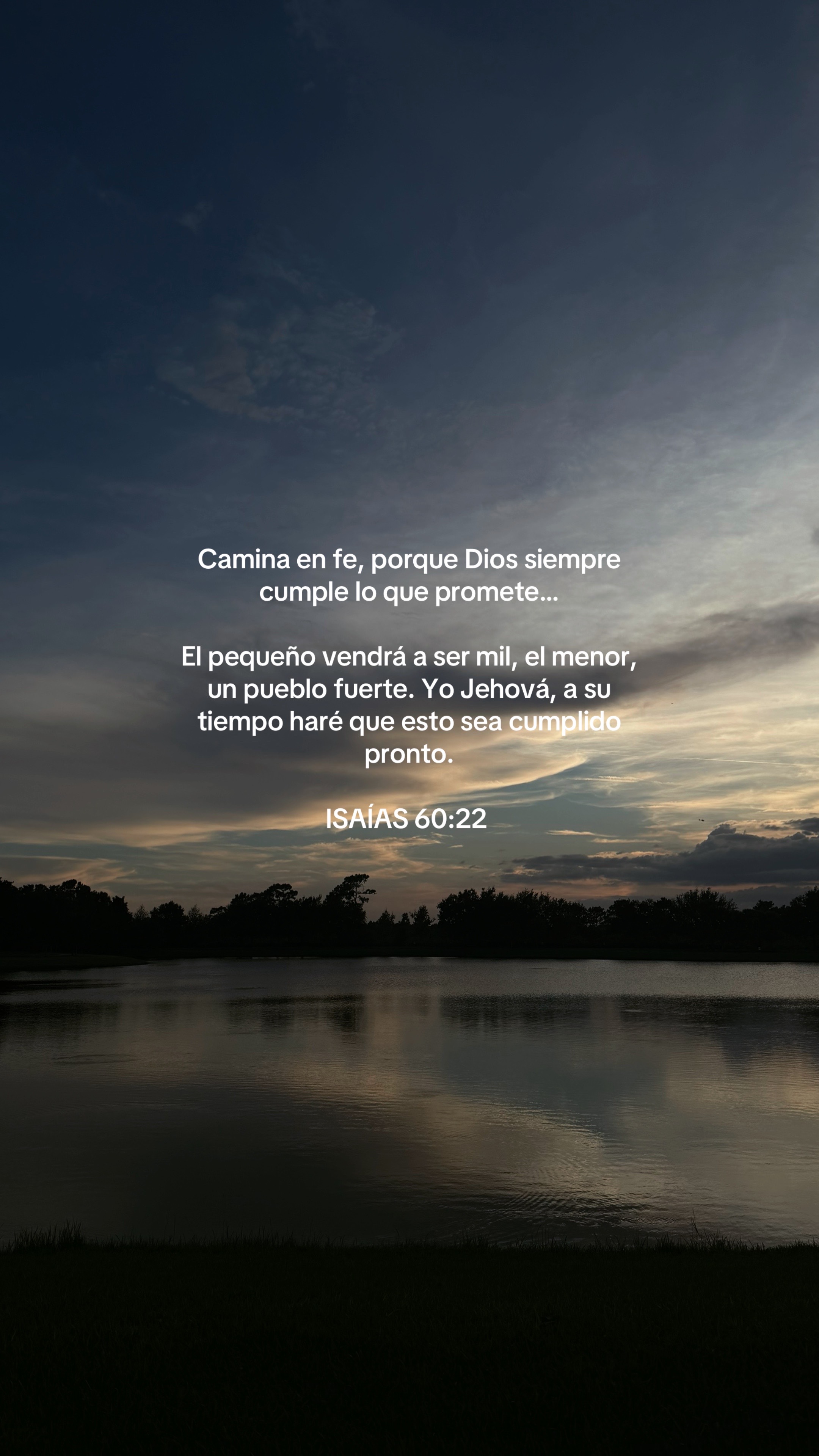 @vidabonita❤️🩹