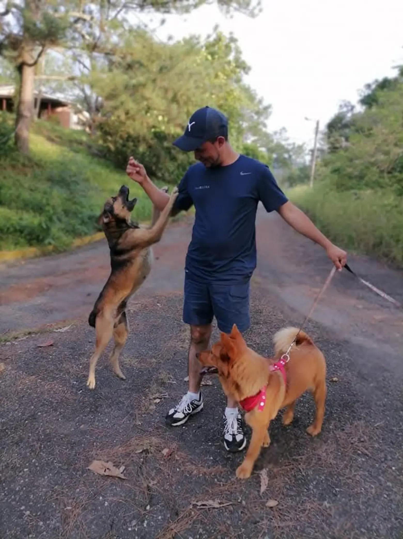 @Armando Carvajal Ayala