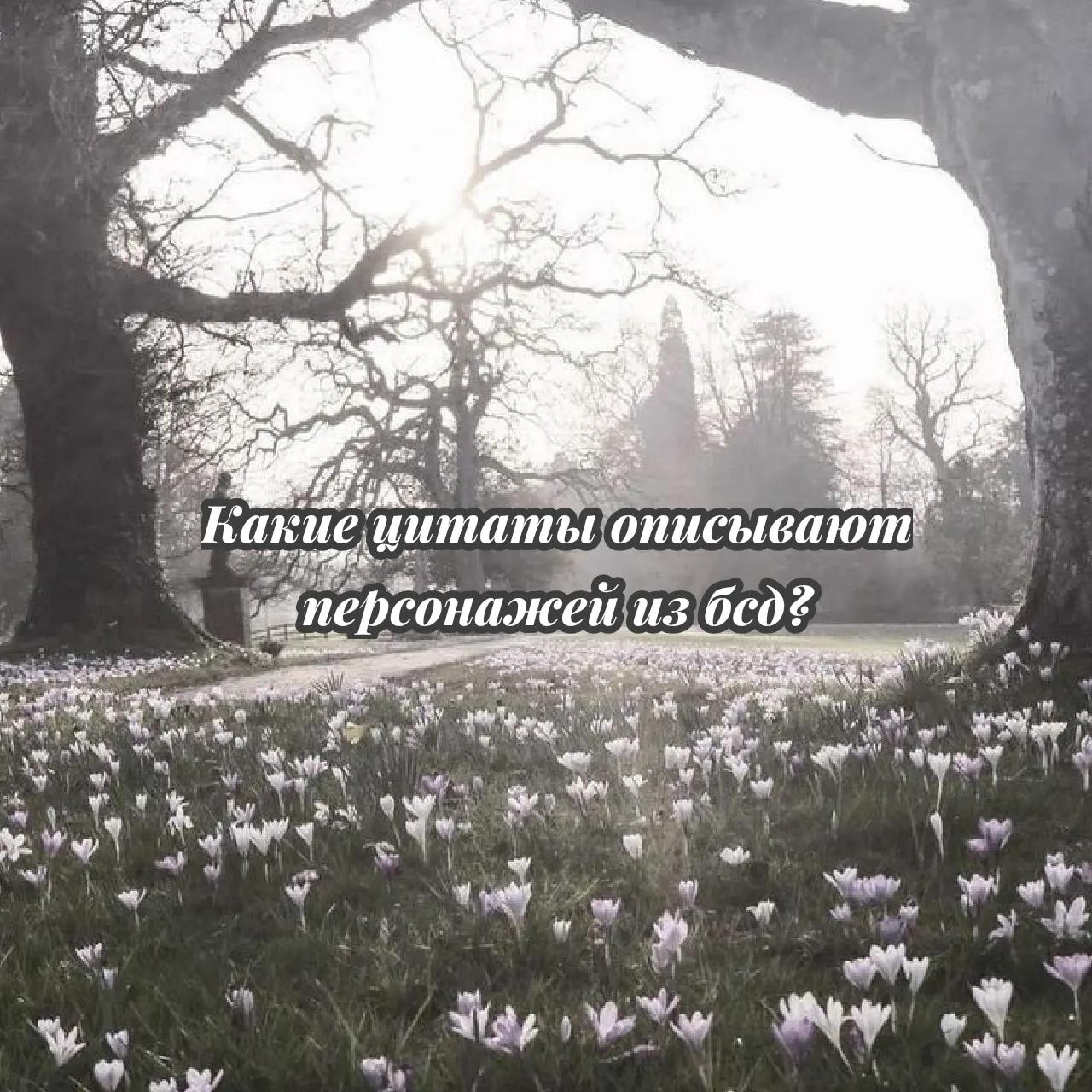 @Теттере #ㄒ乇ㄒㄒ乇尺乇 [🪭]