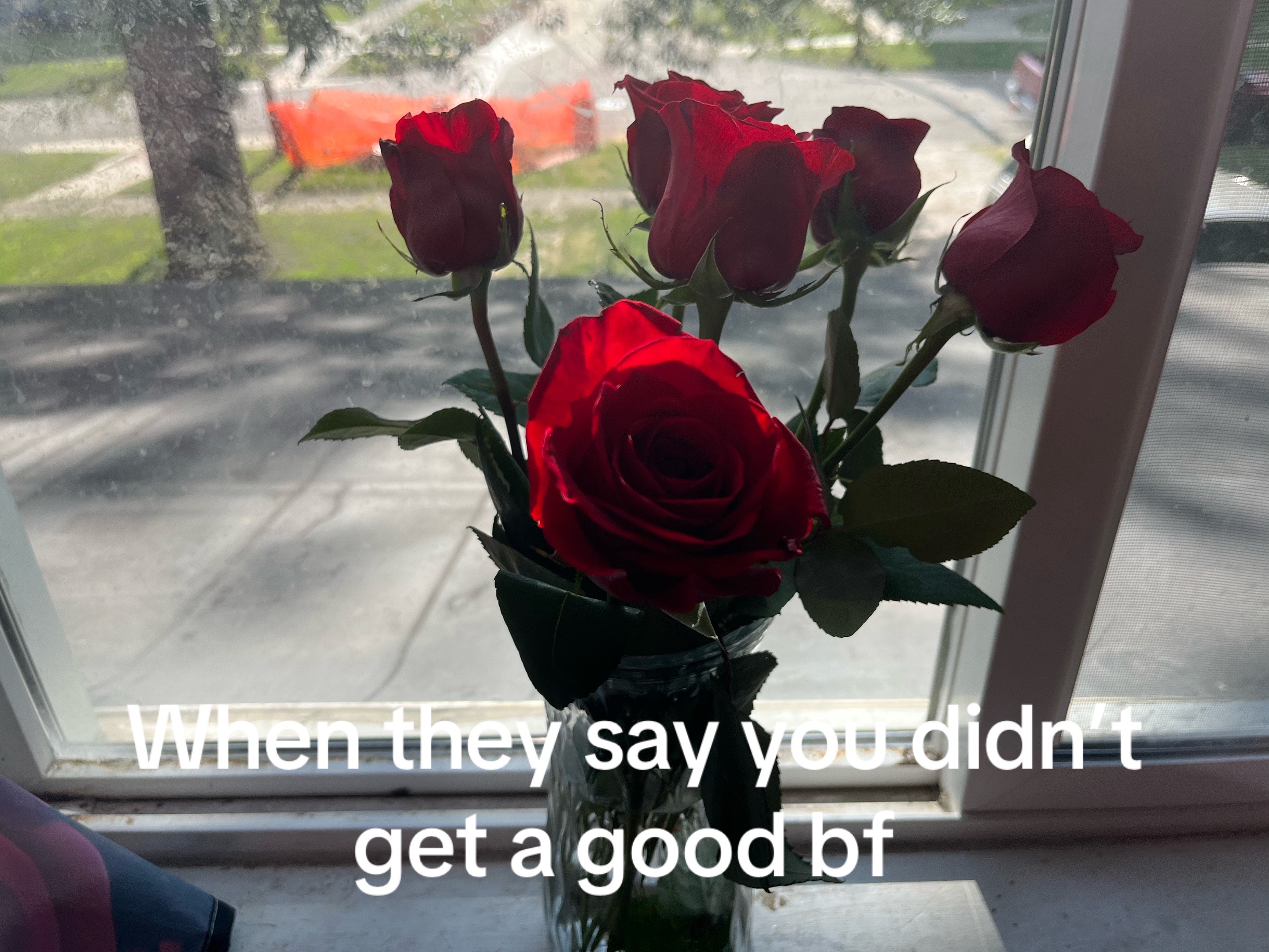 @Elizabeth❤️