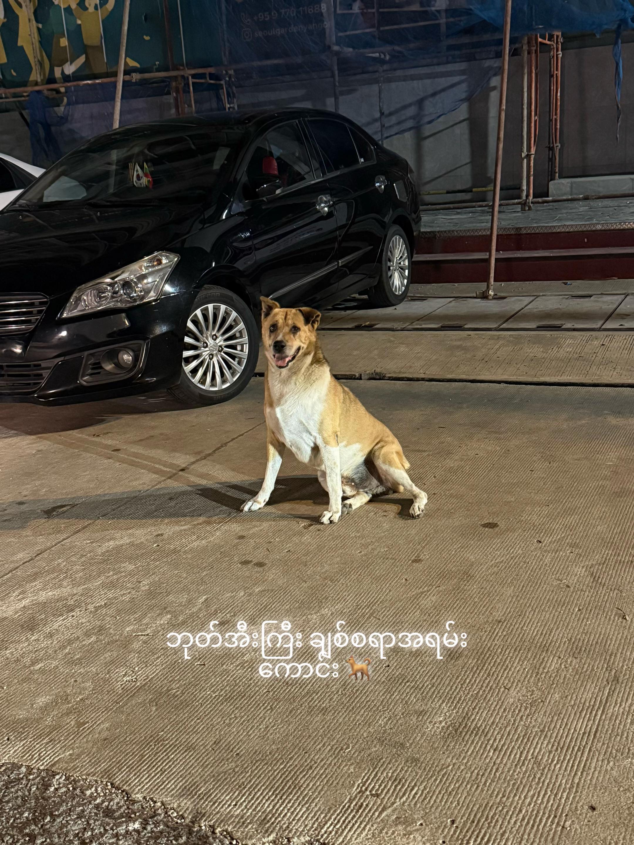 @သားတော်မောင် ကွတ်ကီး (Cookie)