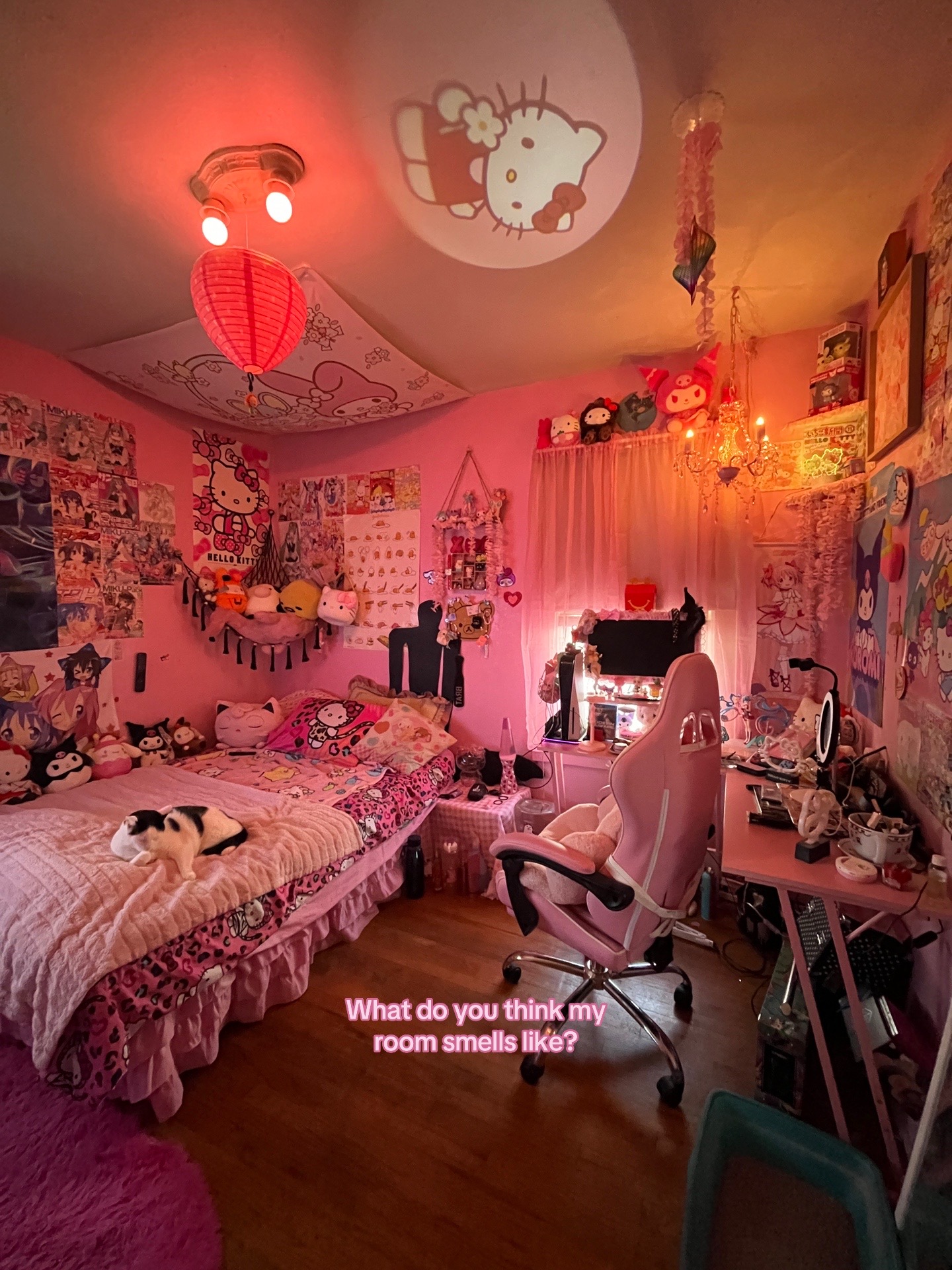 @ᗢ&ensp;Ria