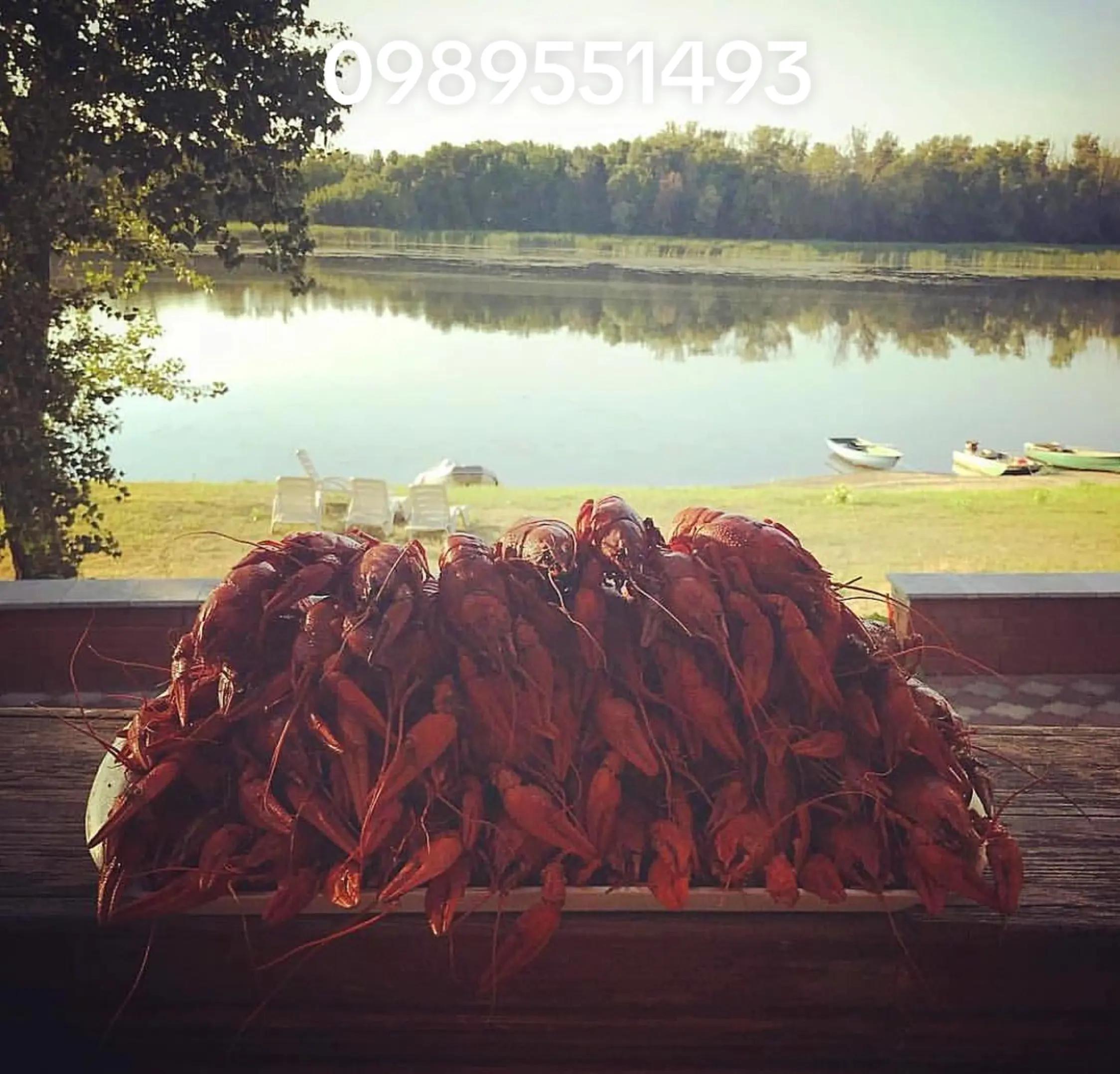 @Раки Умань