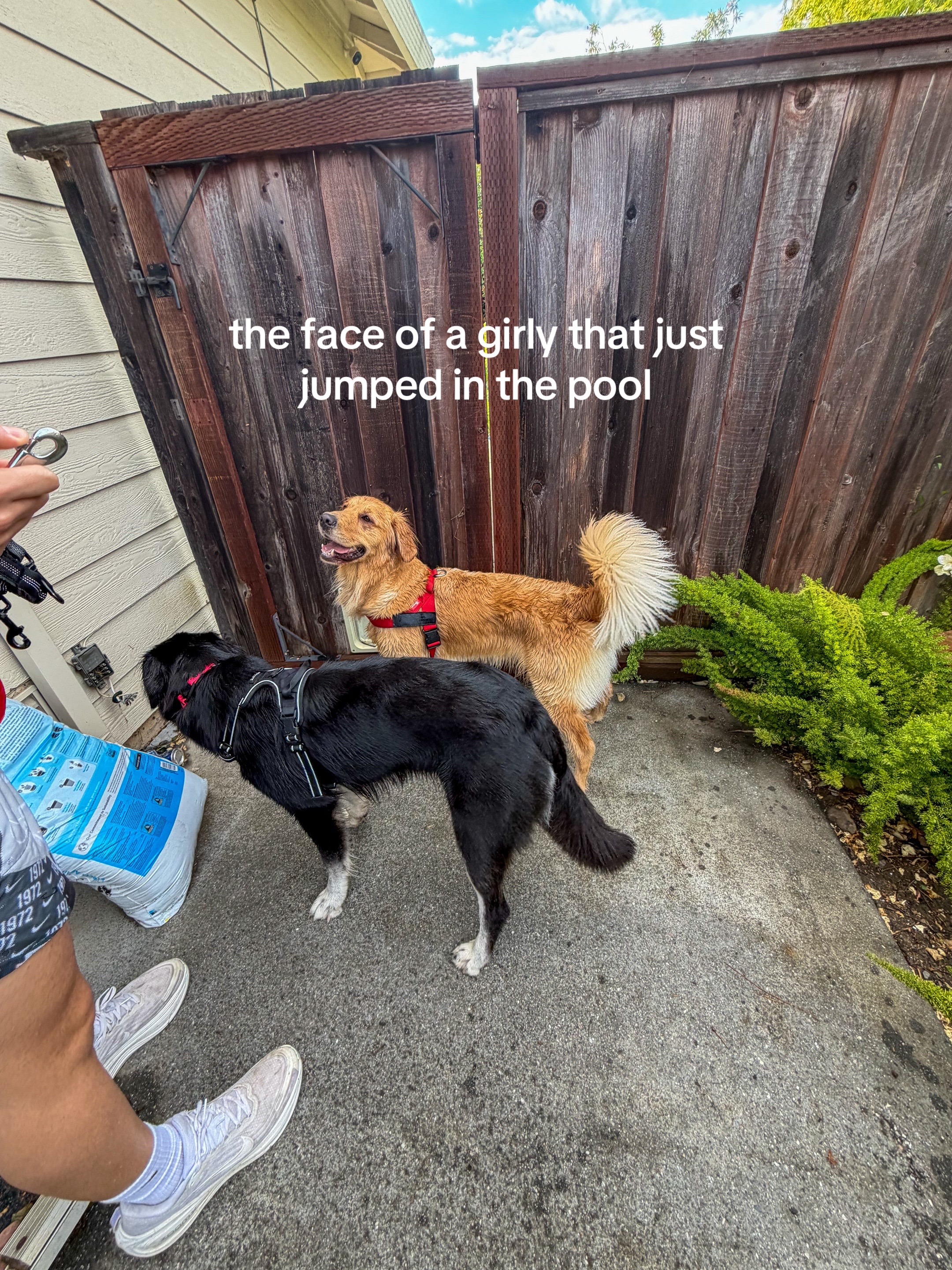 @Julia OG