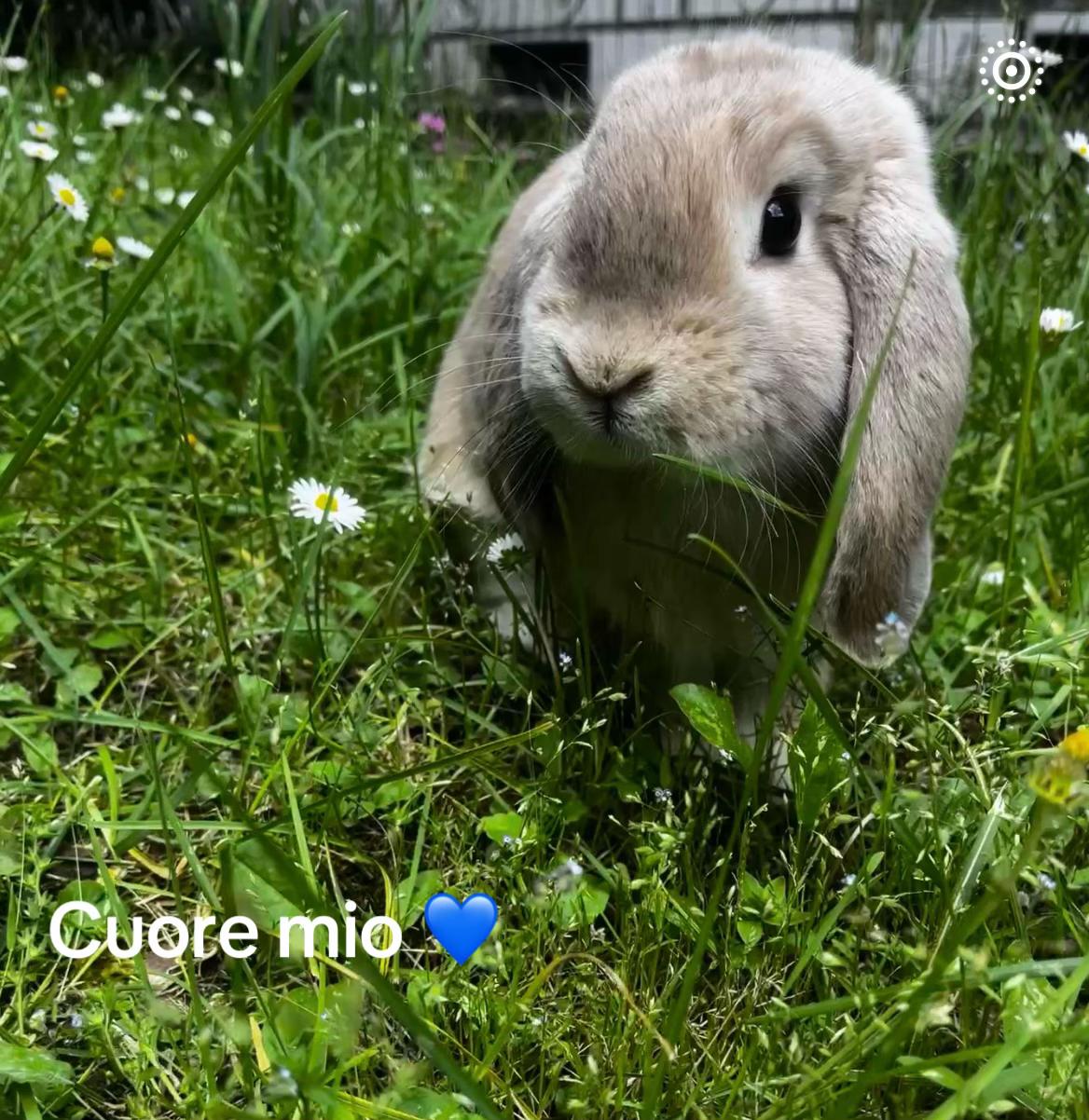 @Cinzia