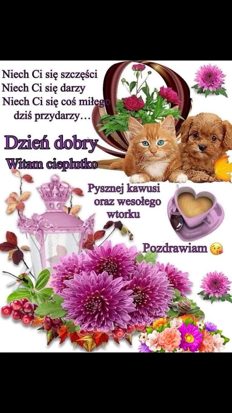@Iwona&ensp;Andrzejczak