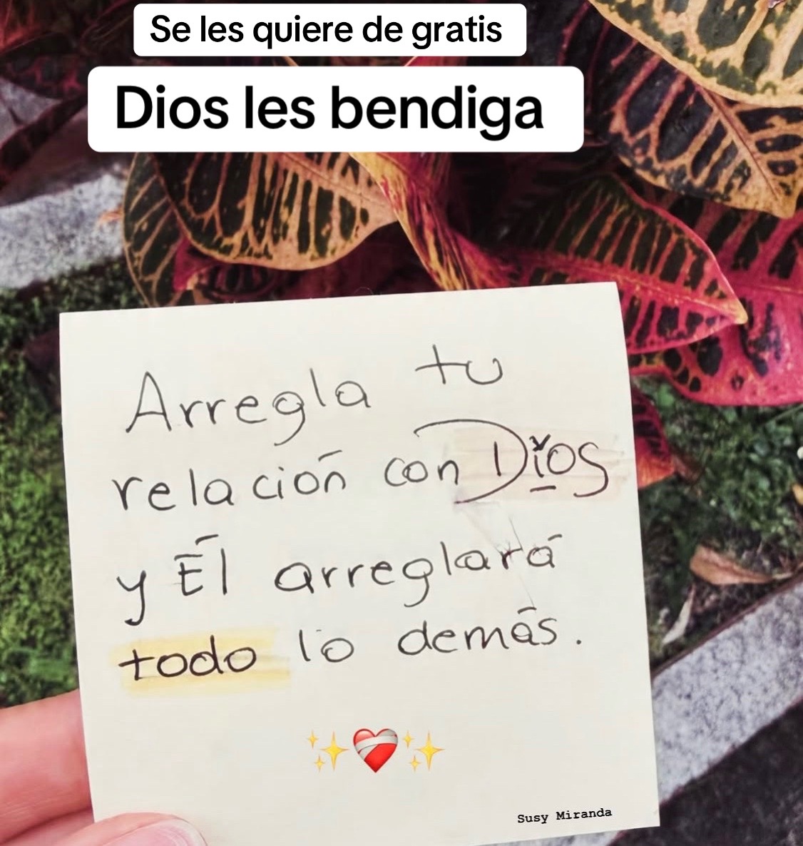 @Mainor Garcia