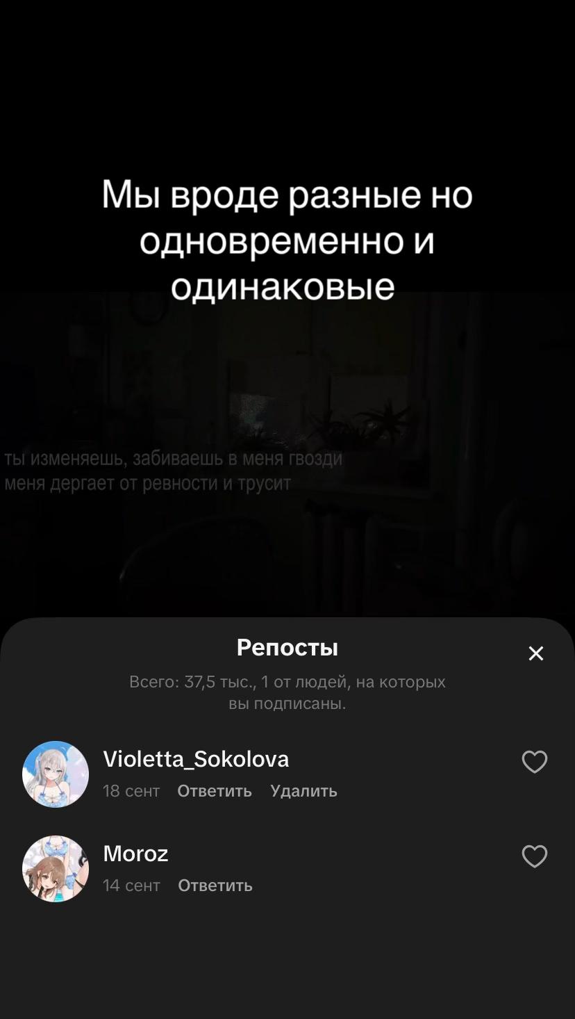 @Violetta_Sokolova