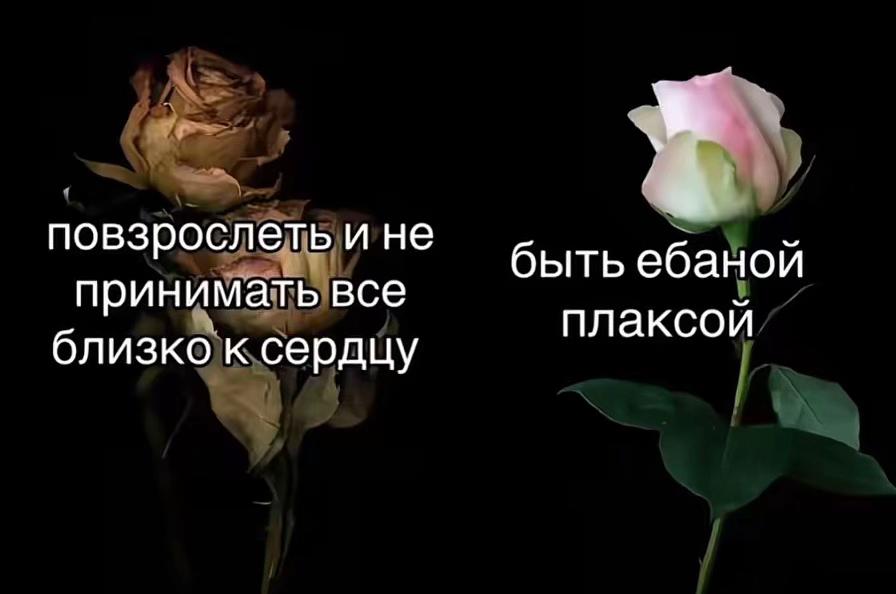 @синеглазка.✈️