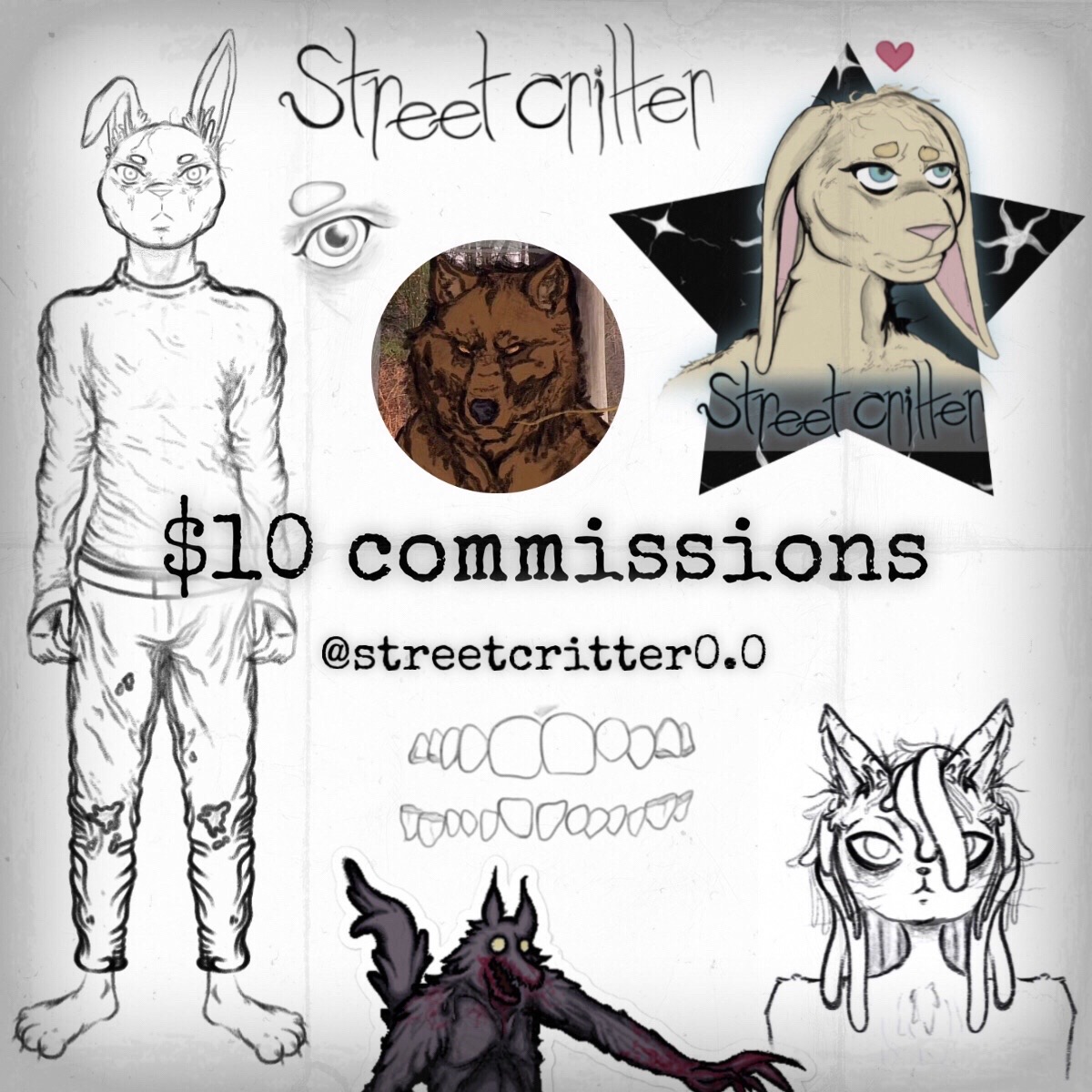 @streetcritter0.0