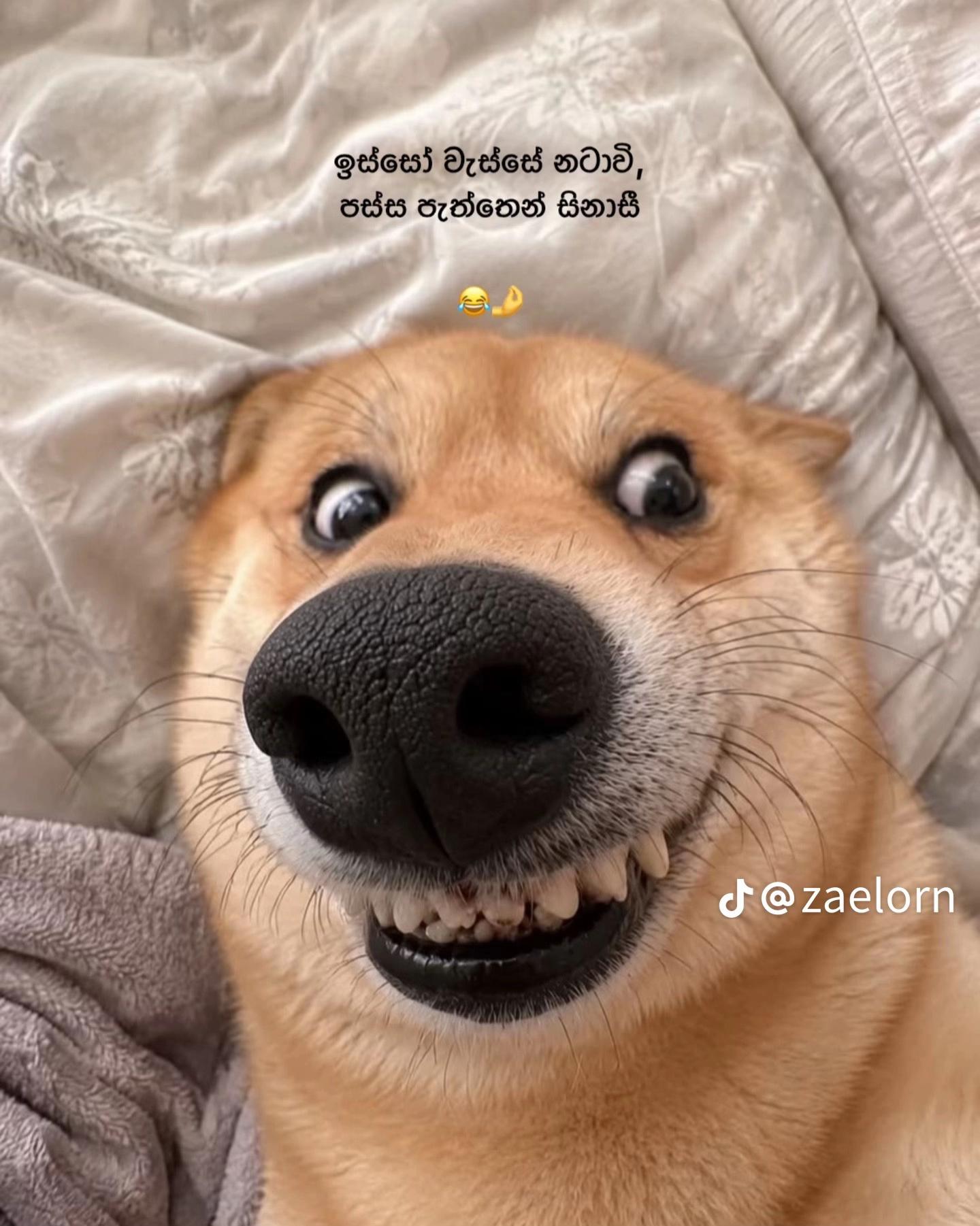 @Herlly🪬