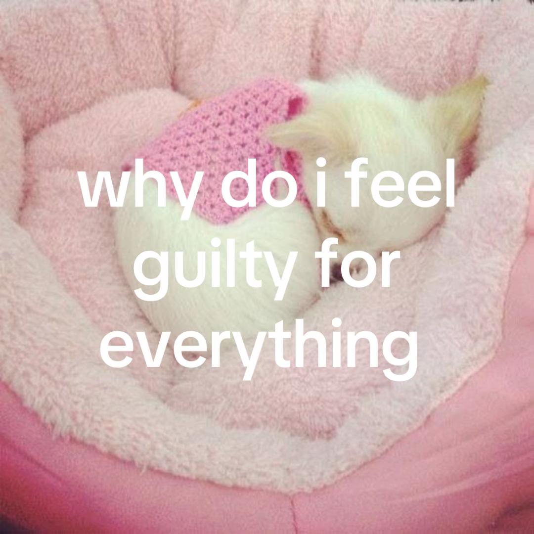 @bunny