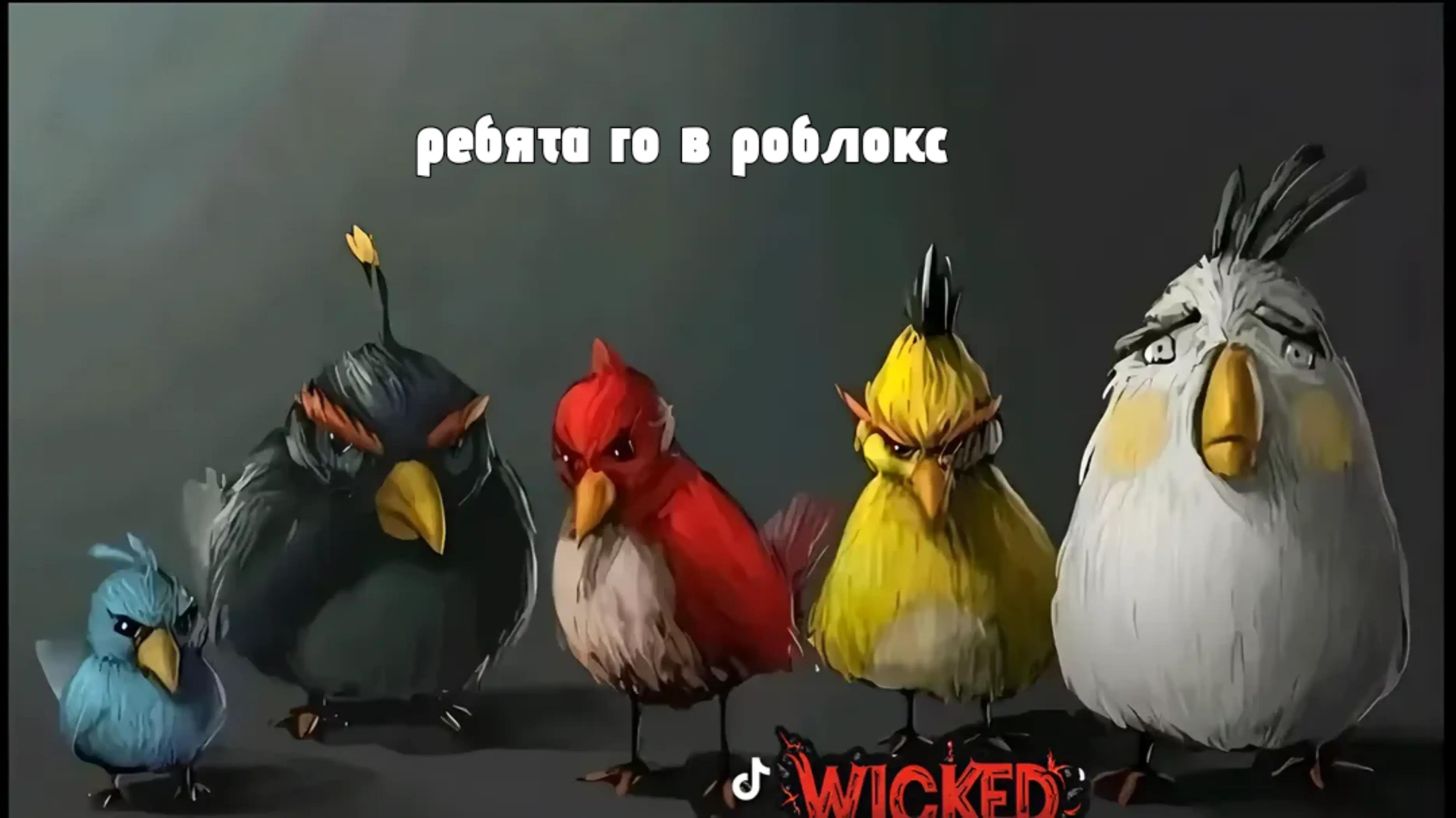 @denzik
