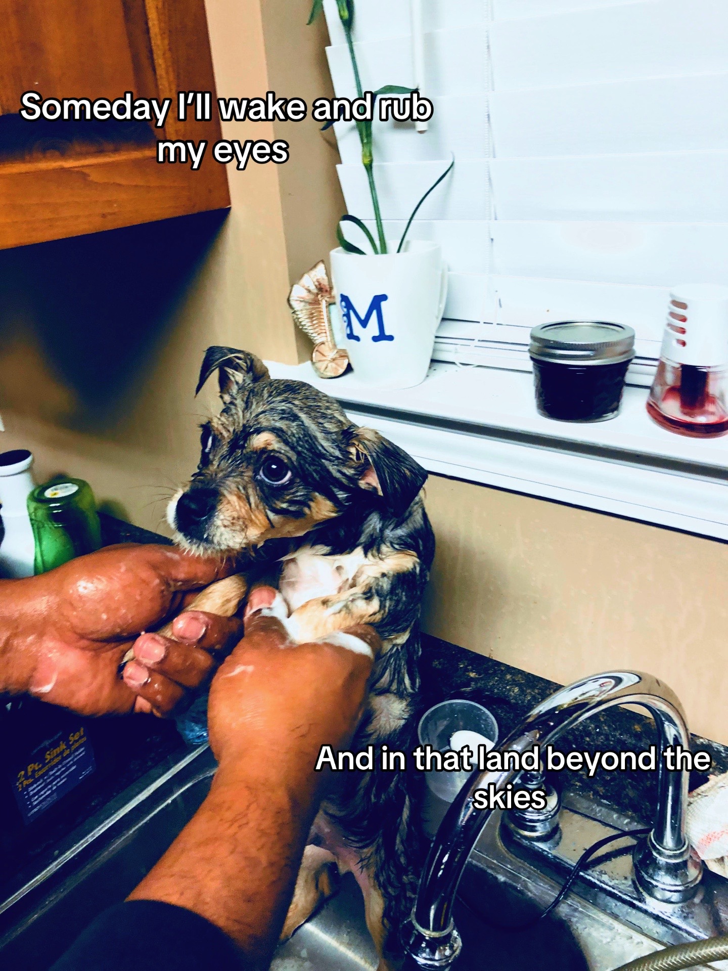 @😈