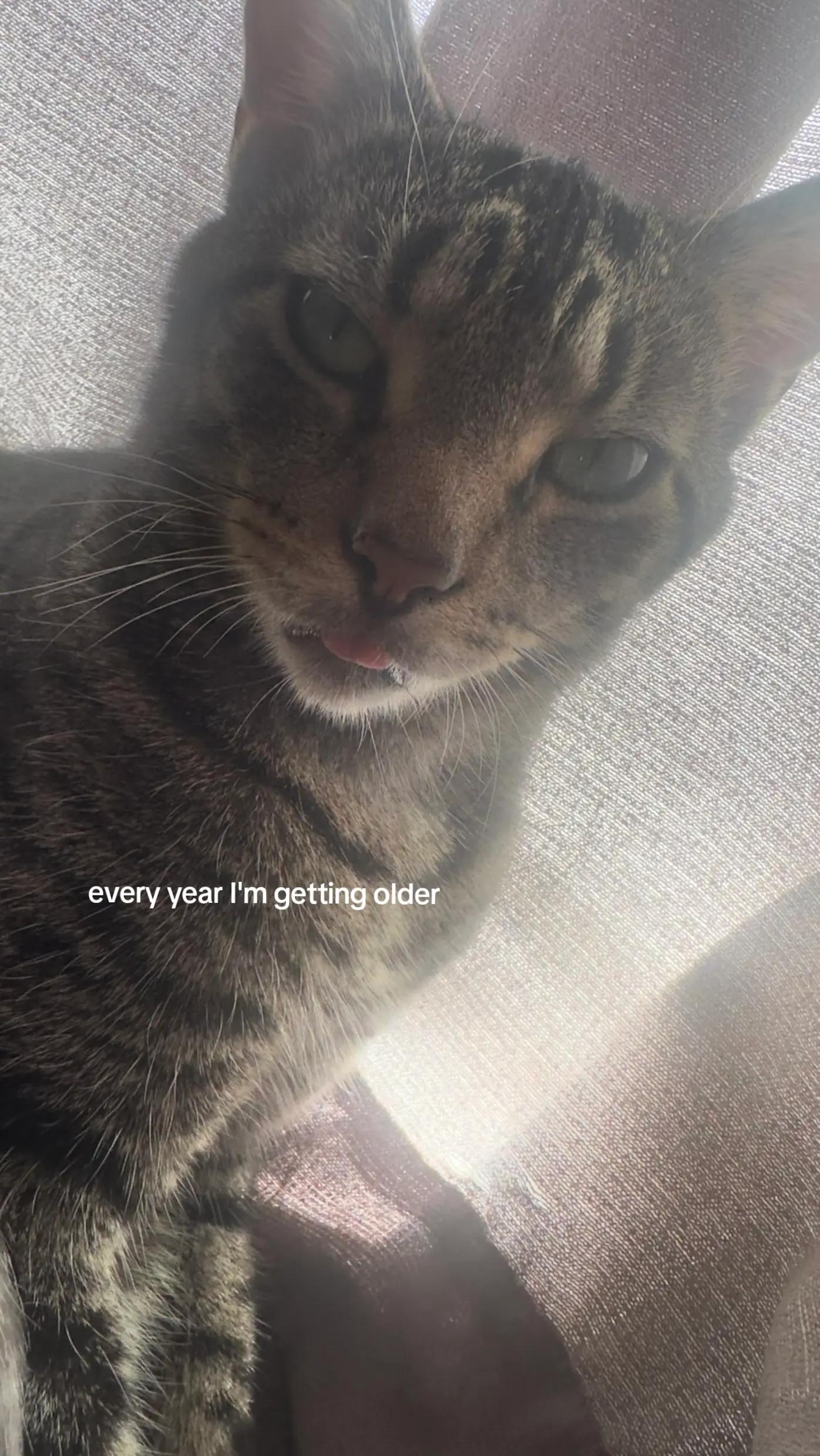 @Josh perkins
