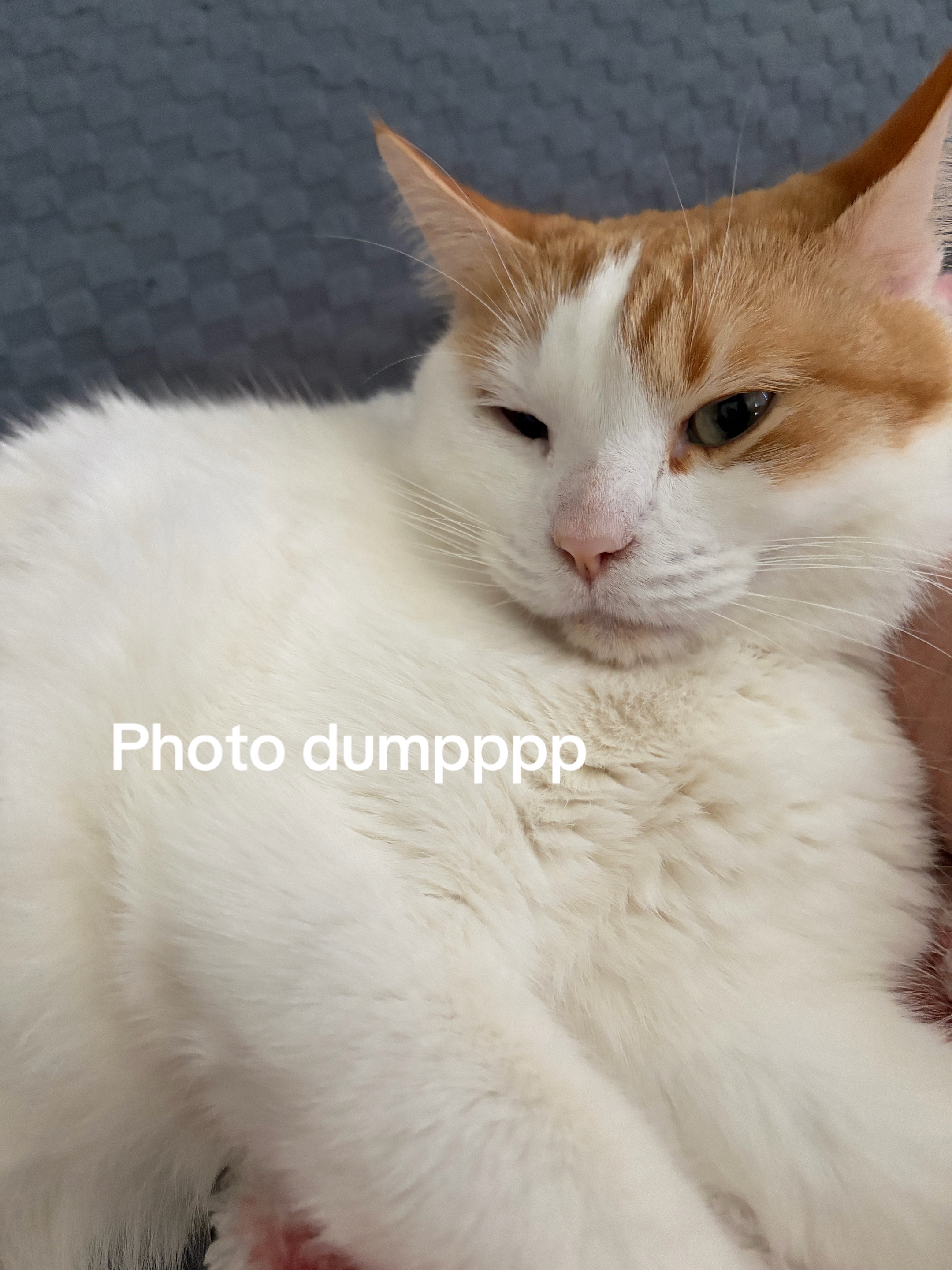 @R Y A