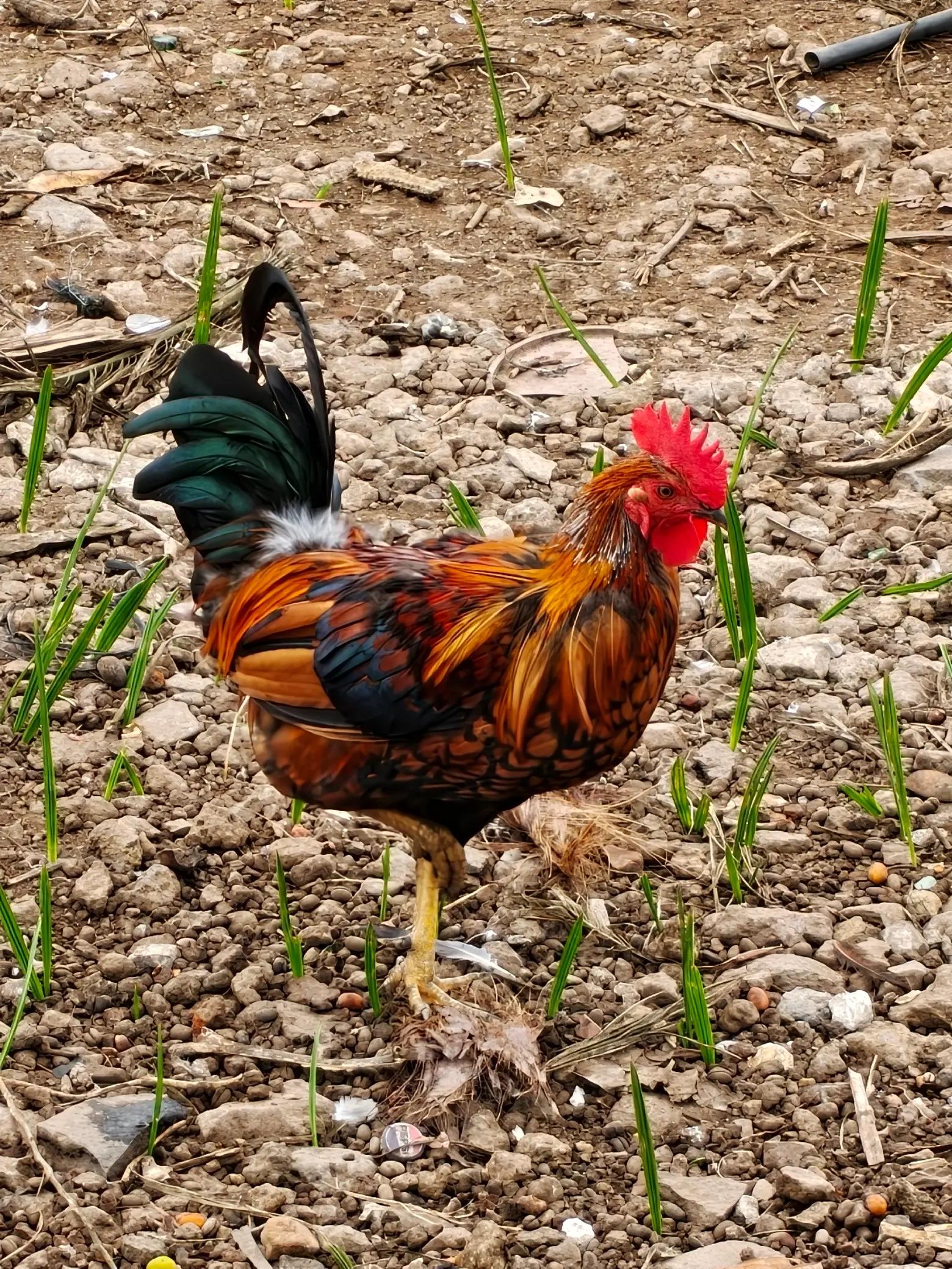 @havr-photo.picfair.com