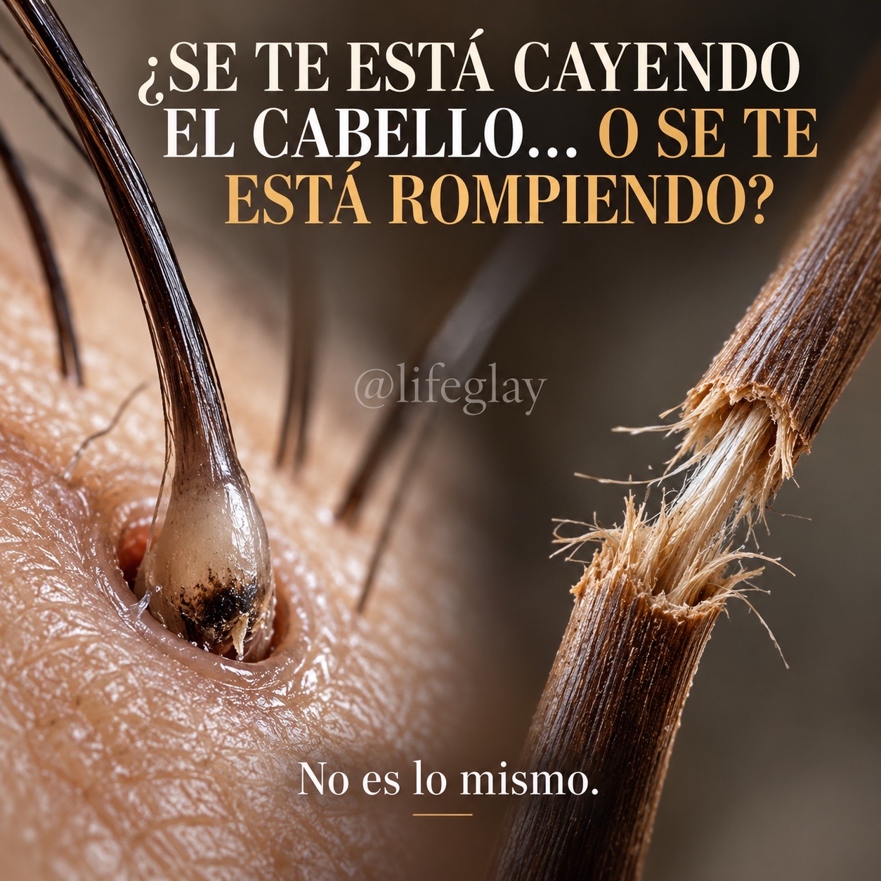 @lifeglay