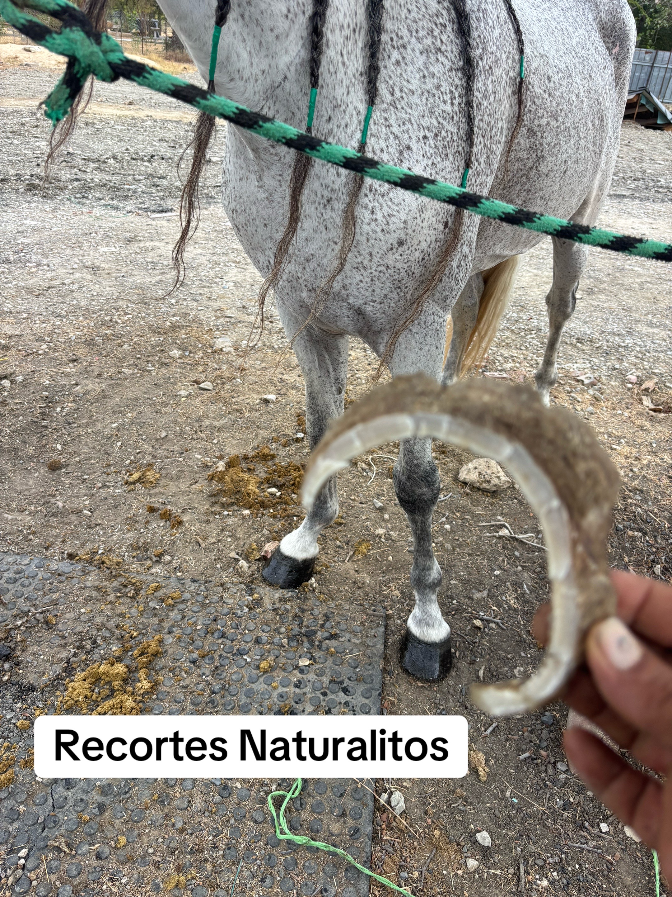 @Ranchoelnaturalito
