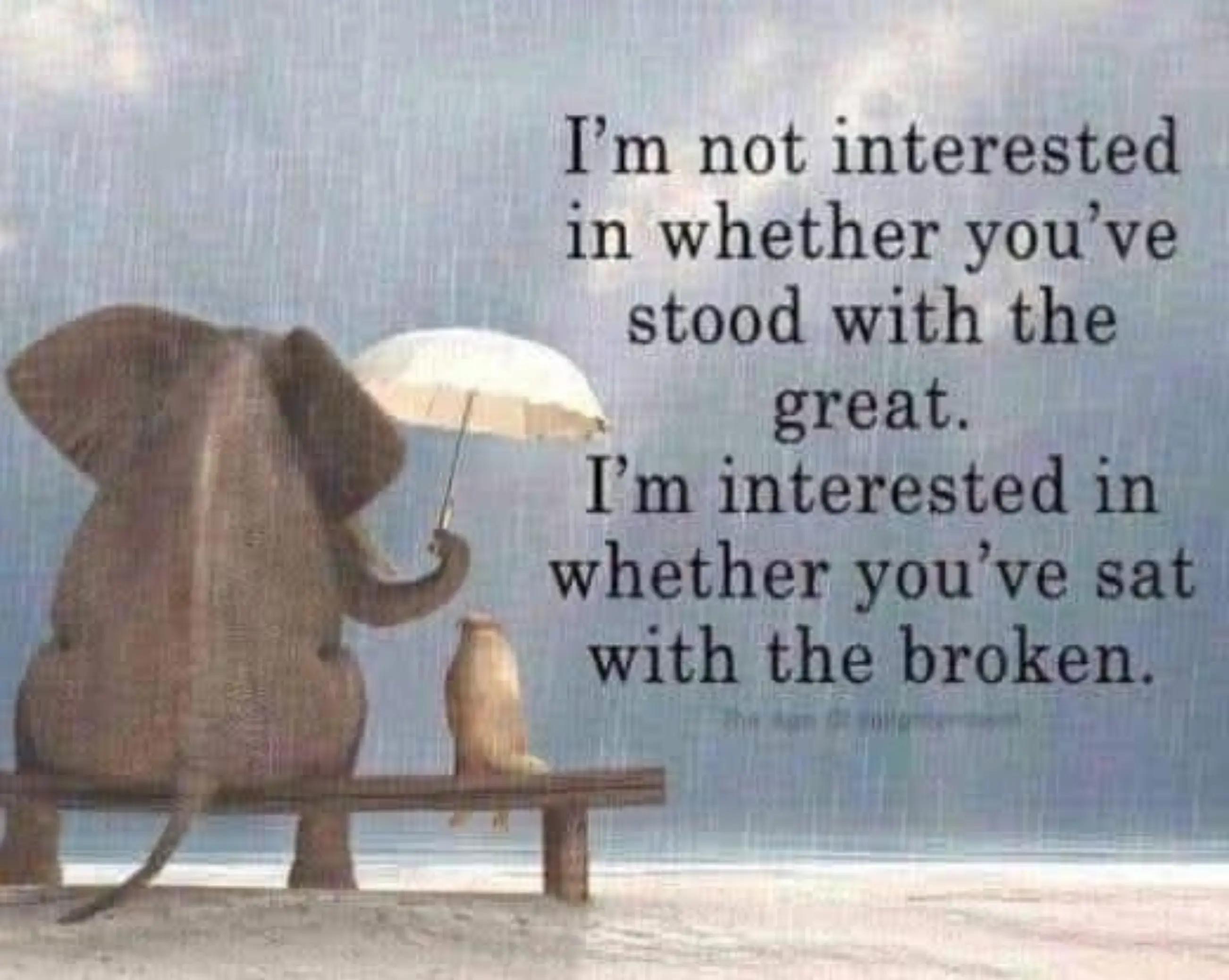 @Lauren Brooks Mack