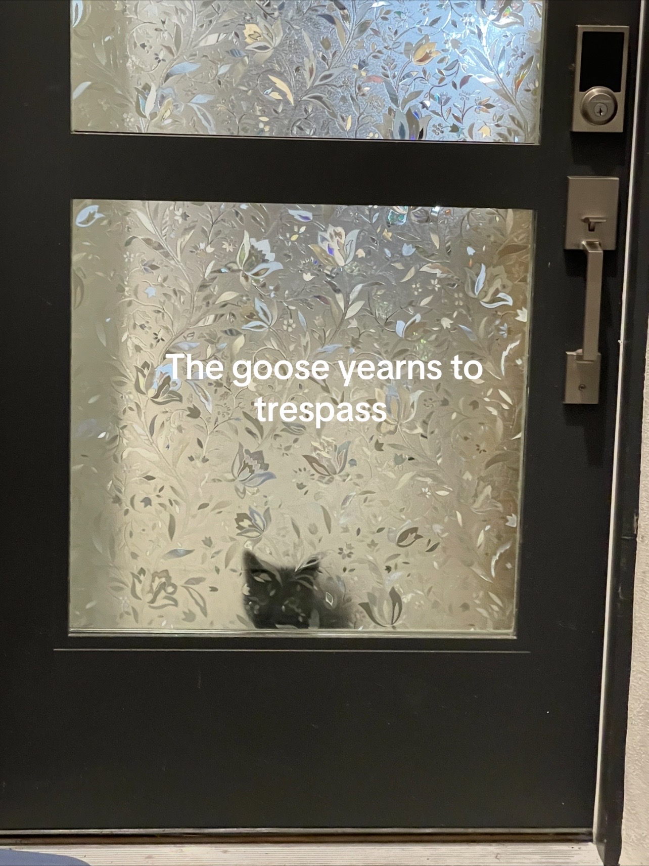 @goose