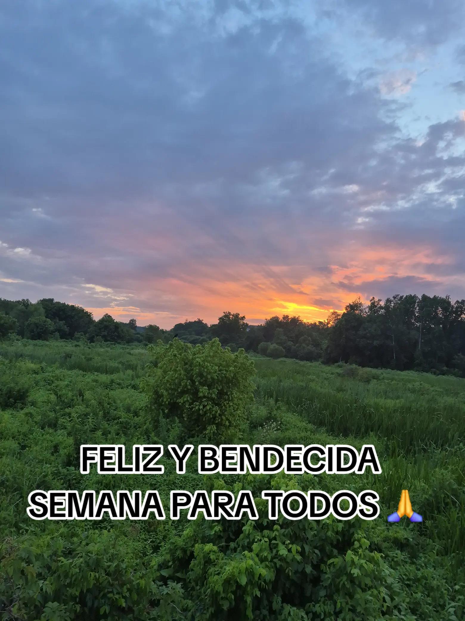 @BENDECIDO🙏POR DIOSFERSÁNCHEZ