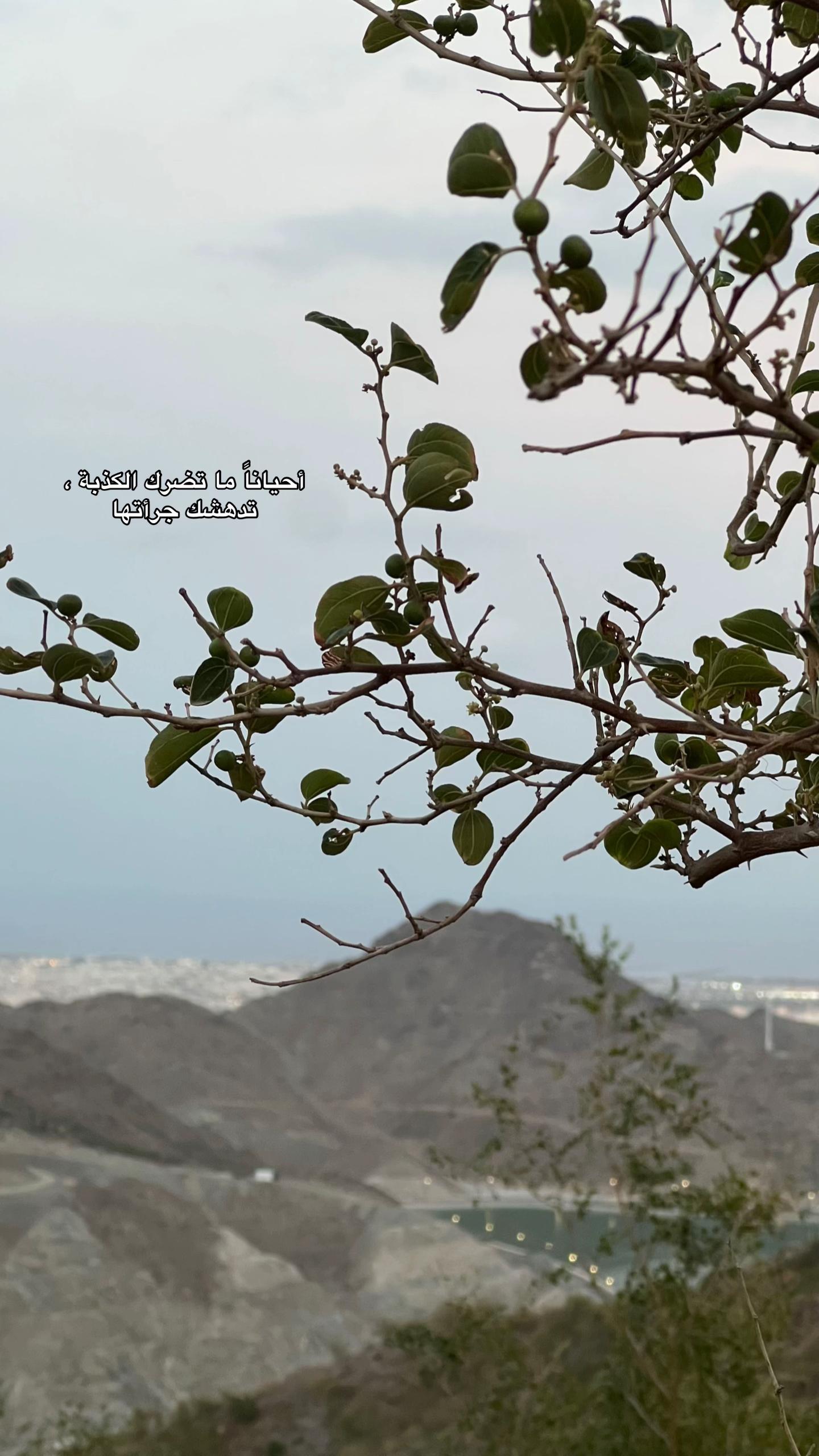 @عُـــهود.