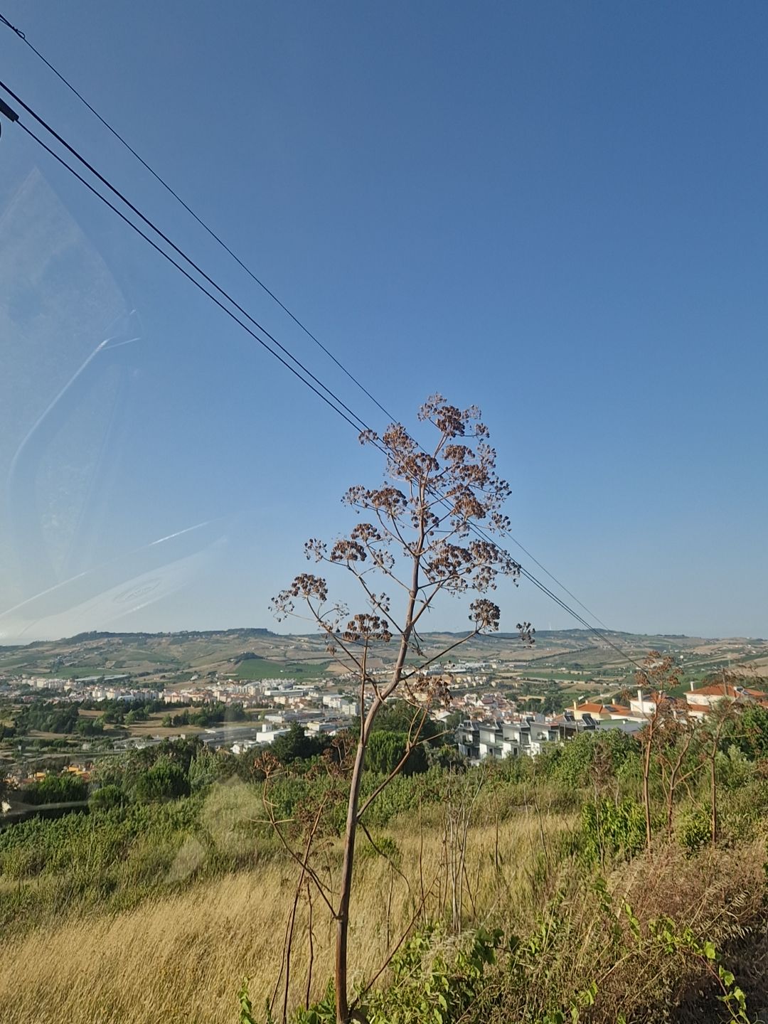 @Manoel Messias