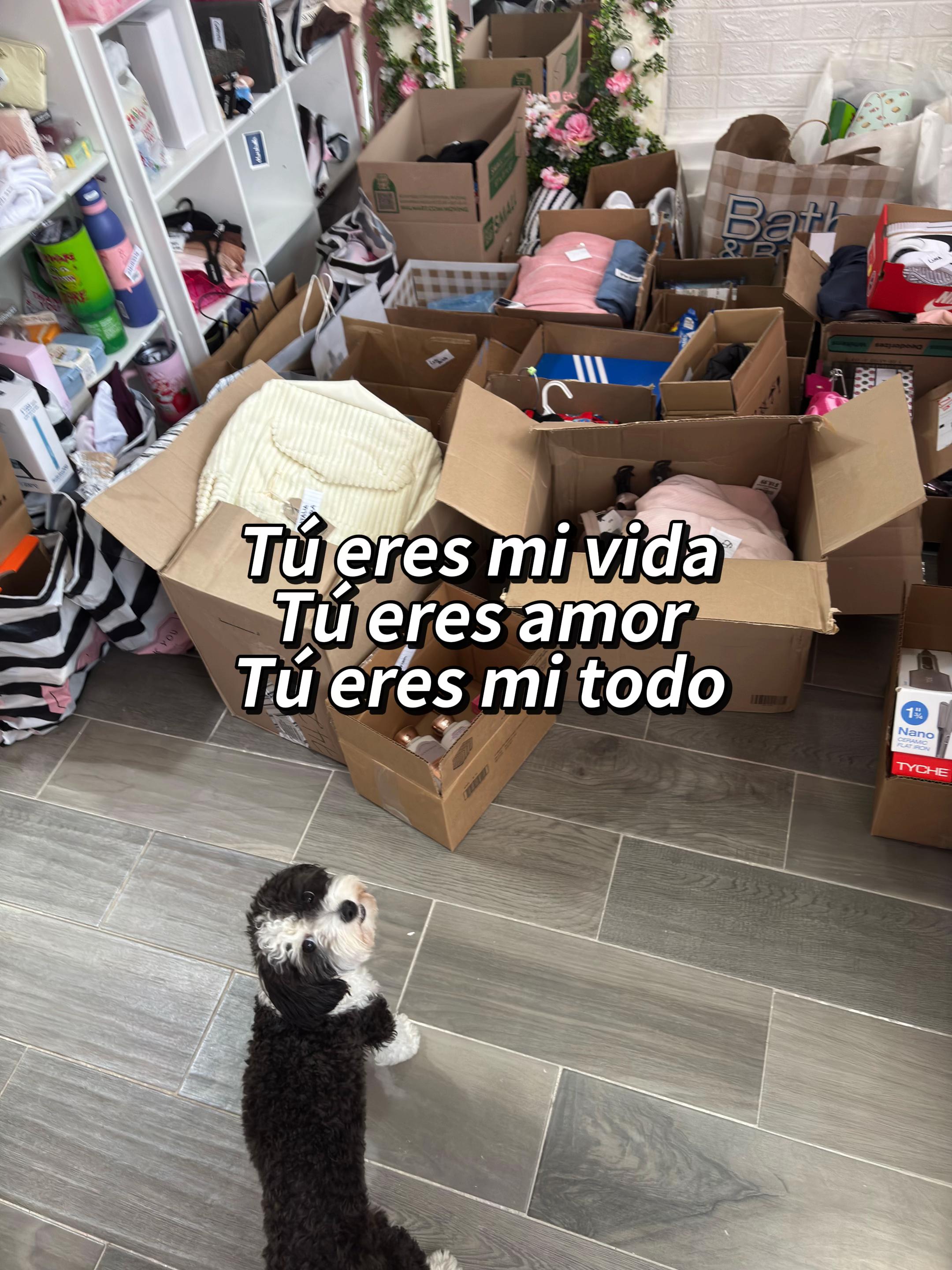 @Glumsy