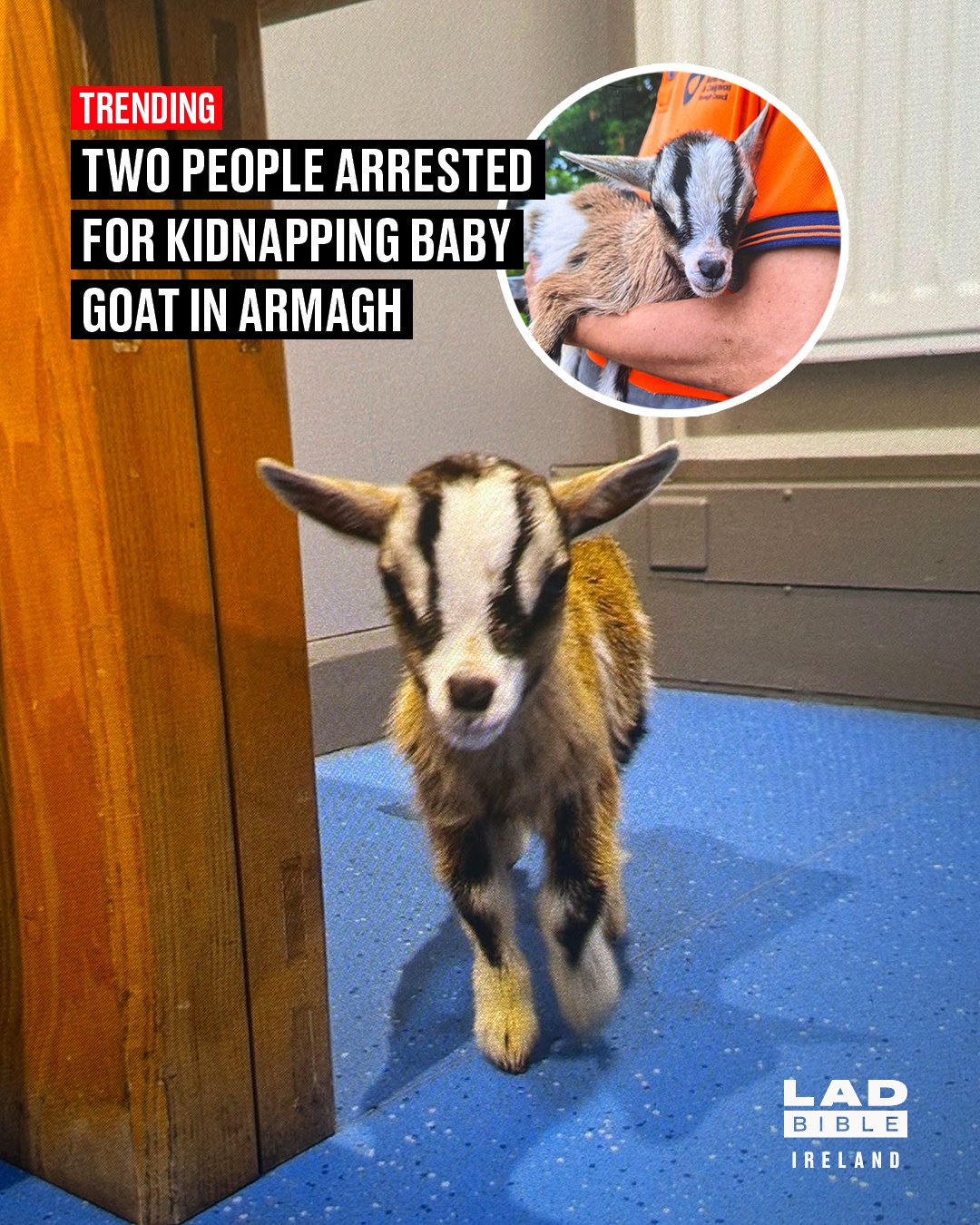 @LADbible Ireland