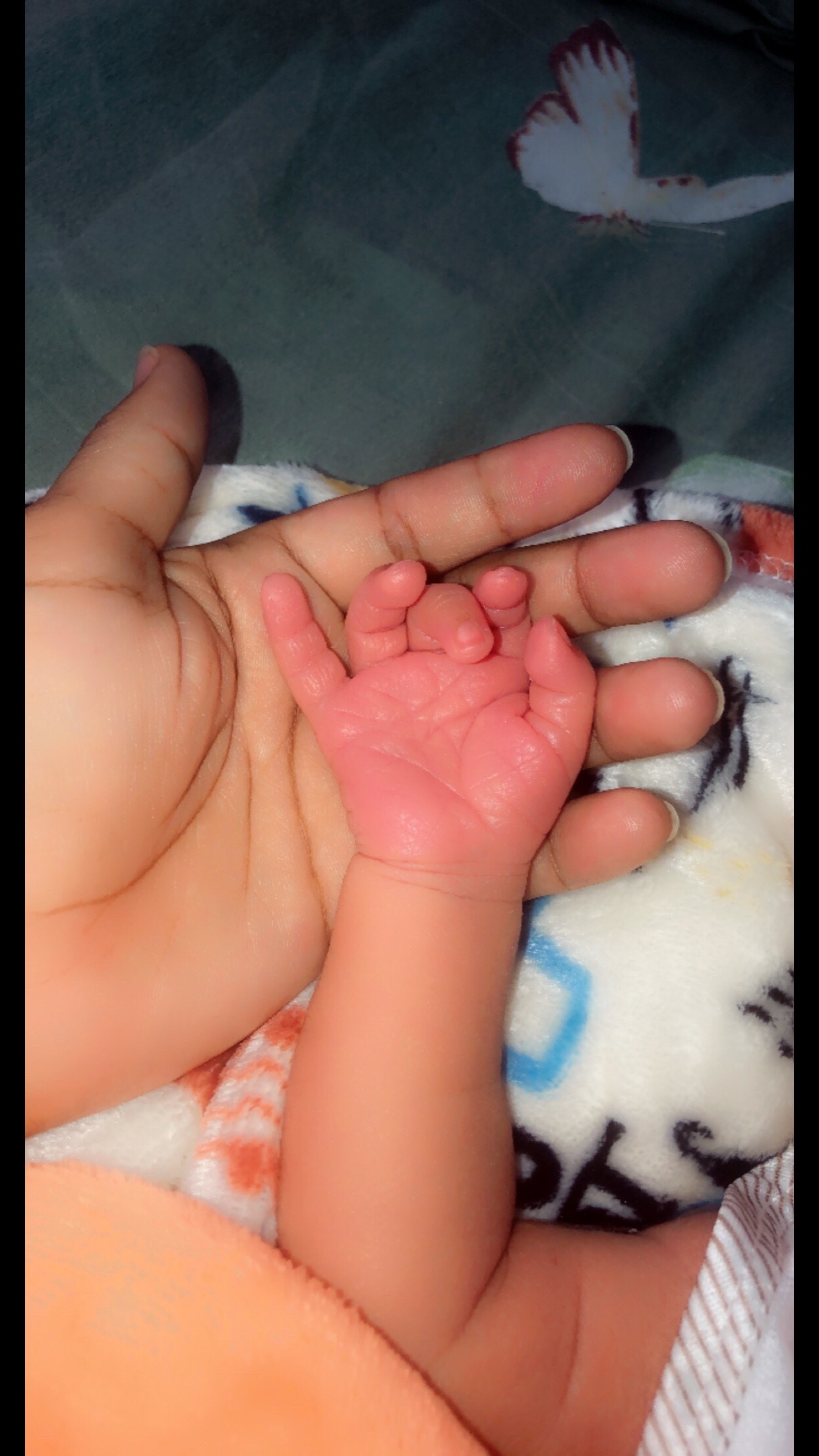 @kerolainy❤&Kiara