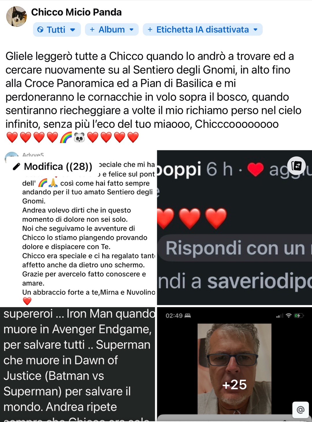 @Micio Panda 🐼