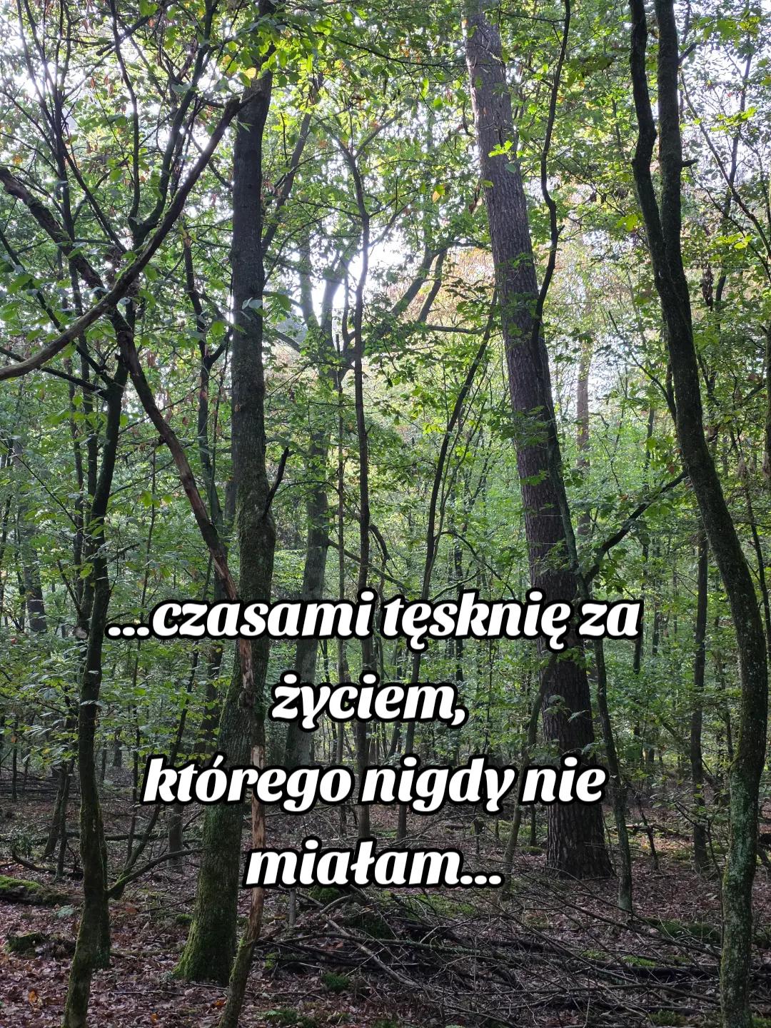 @Madzia Madziula