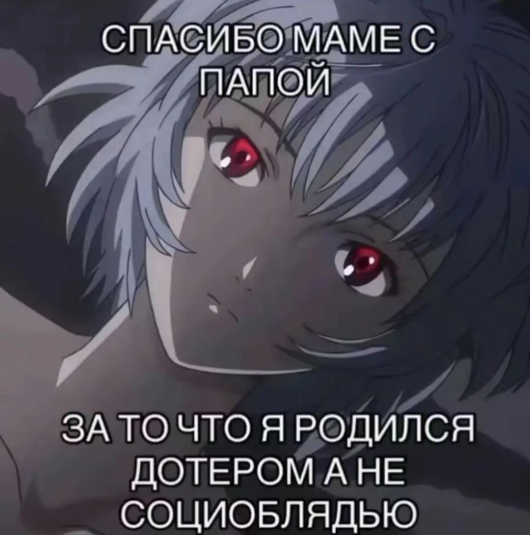@Тим💤