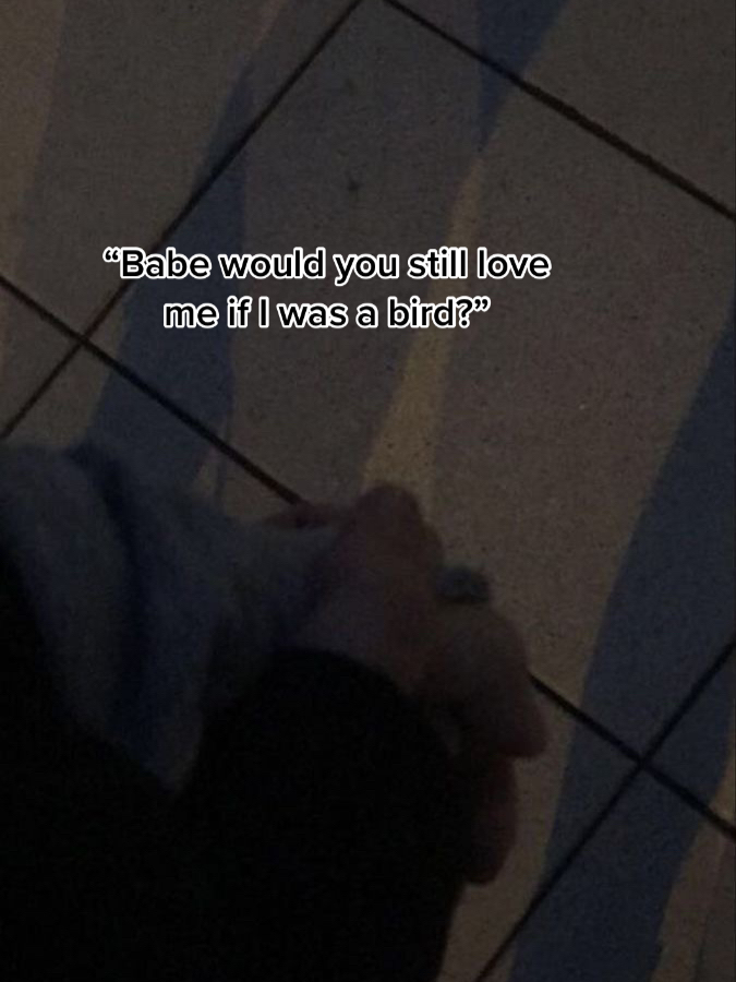 @𝓒𝓱𝓵𝓸𝓮