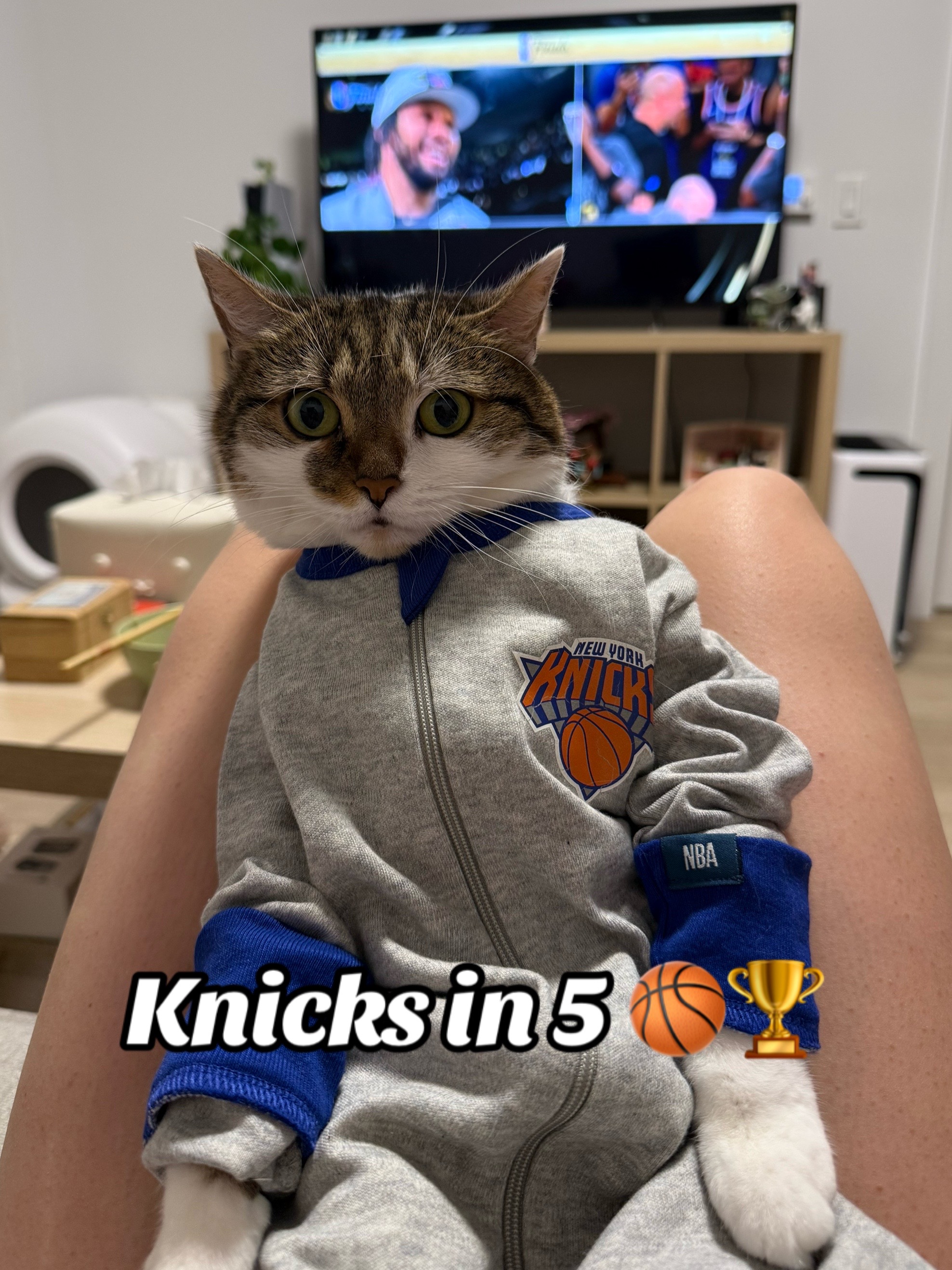 @Suki Purrs