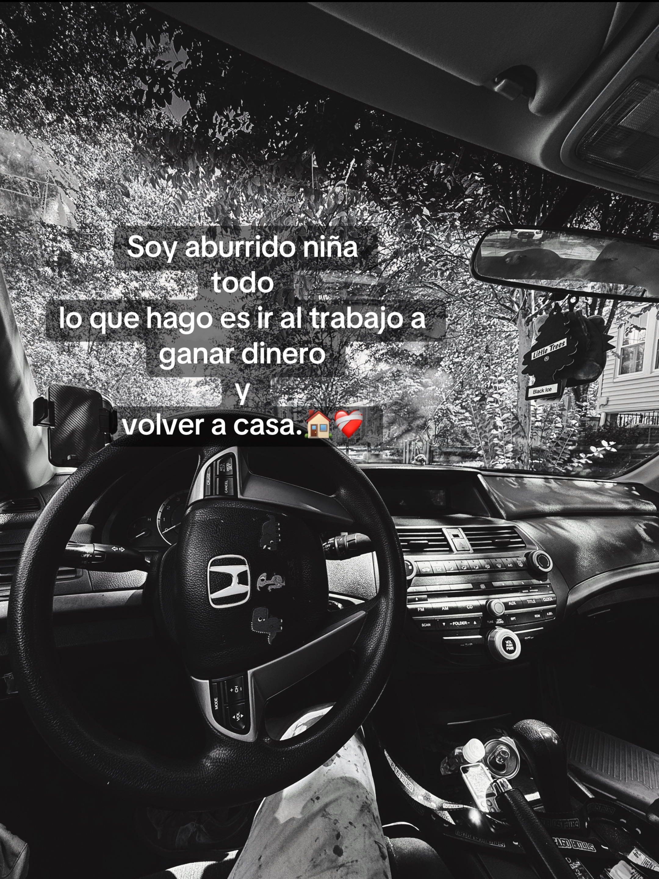 @Ronal 🔥