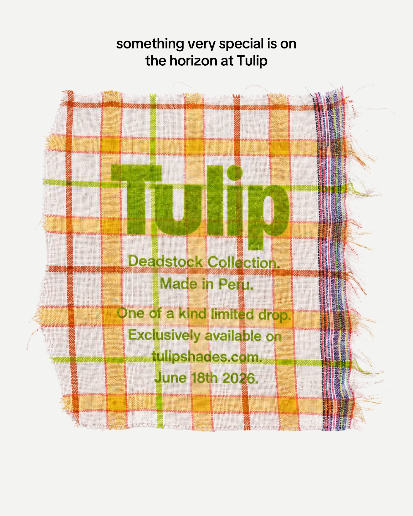 @Tulip Shades