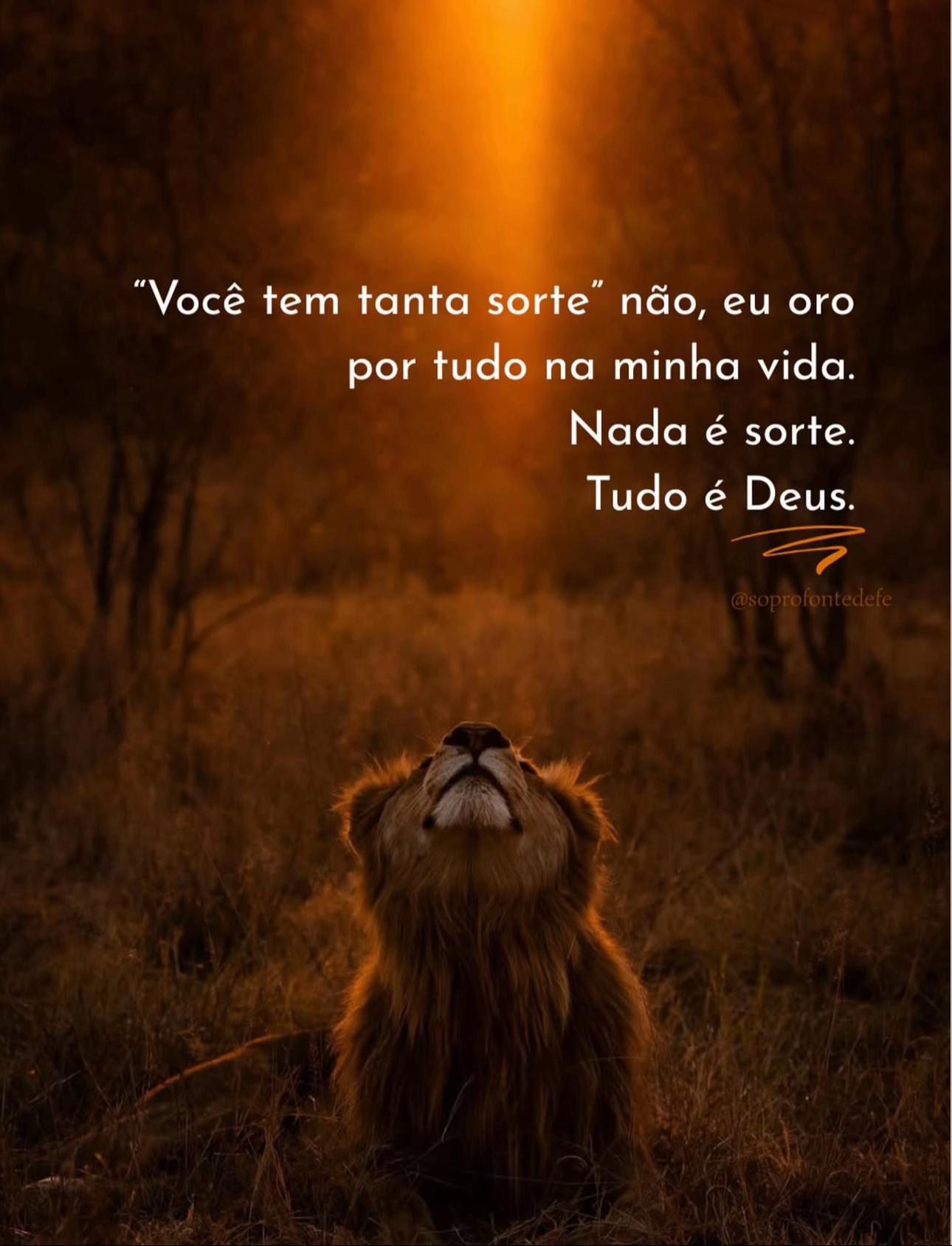 @Palavras de Sabedoria