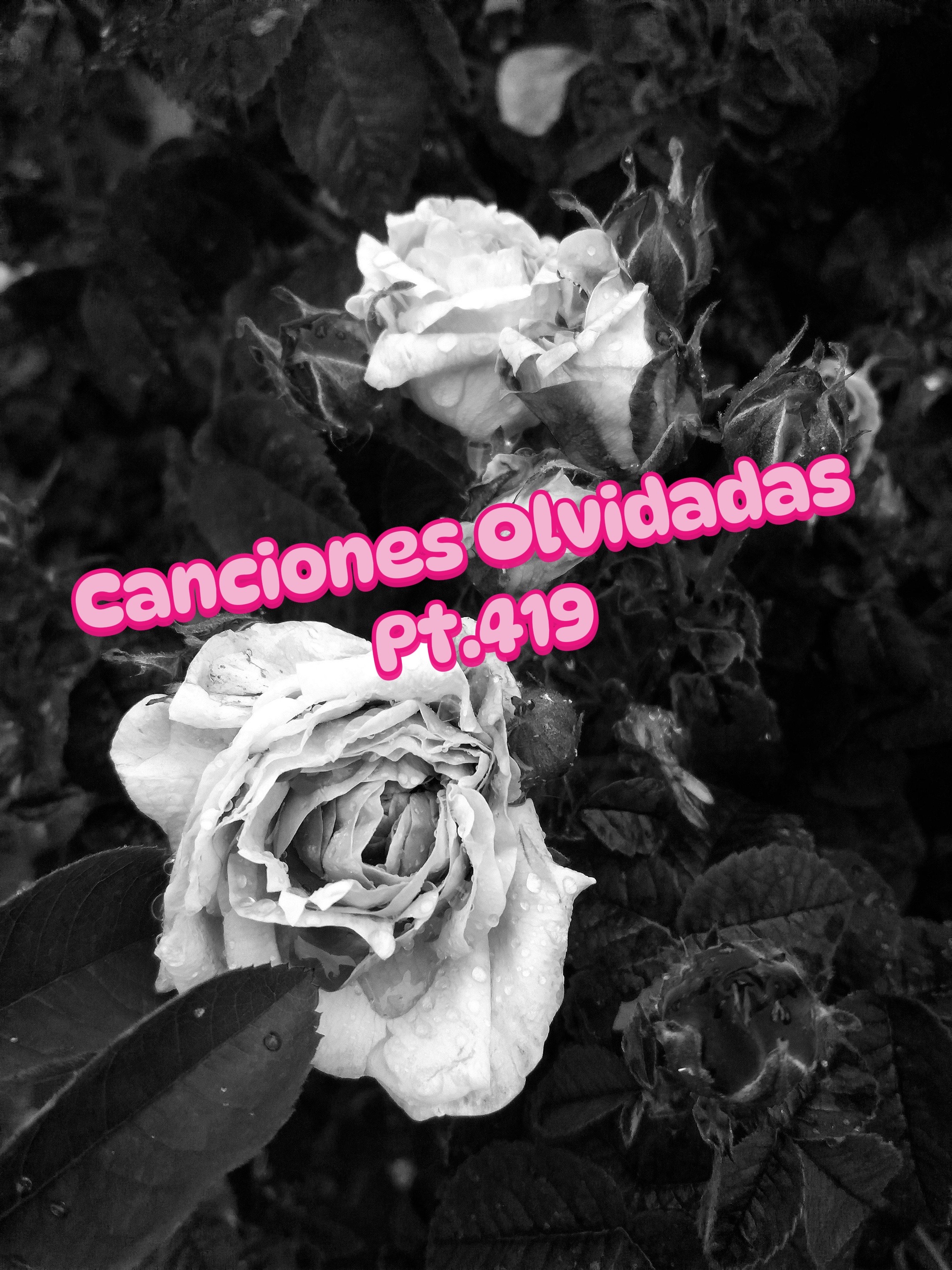 @TUDJJD