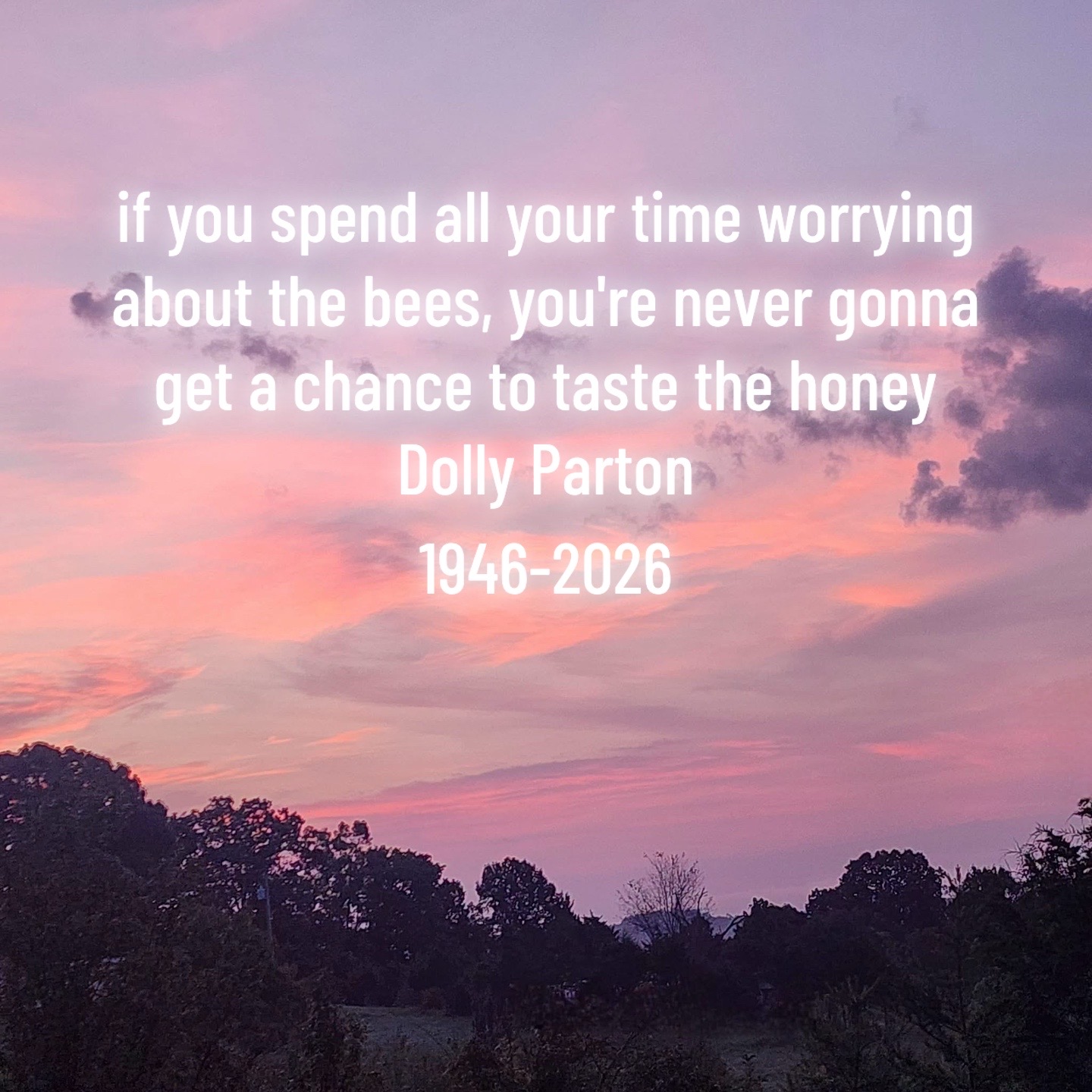 @Roxanne Justus