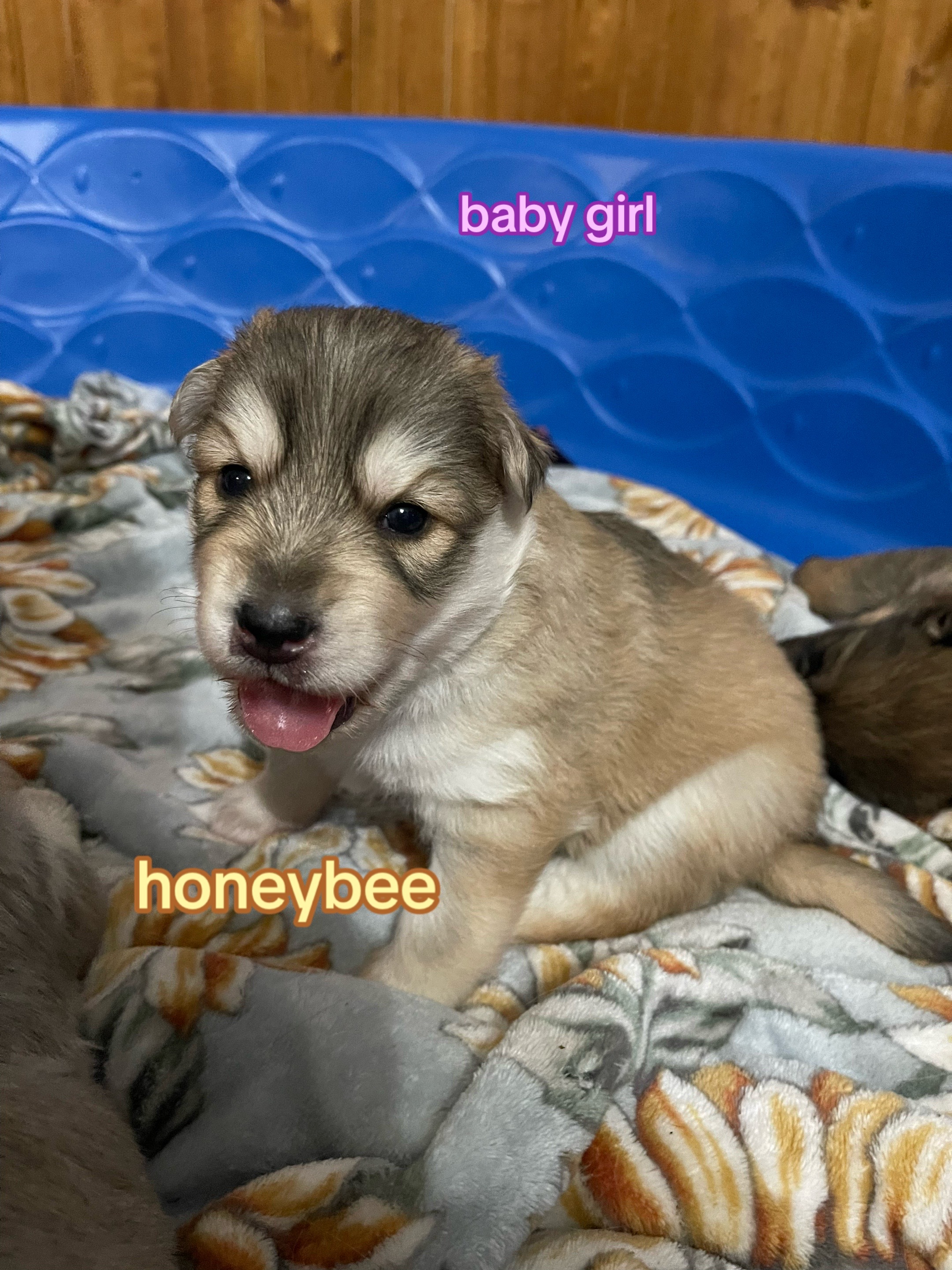 @𝔪 ☾