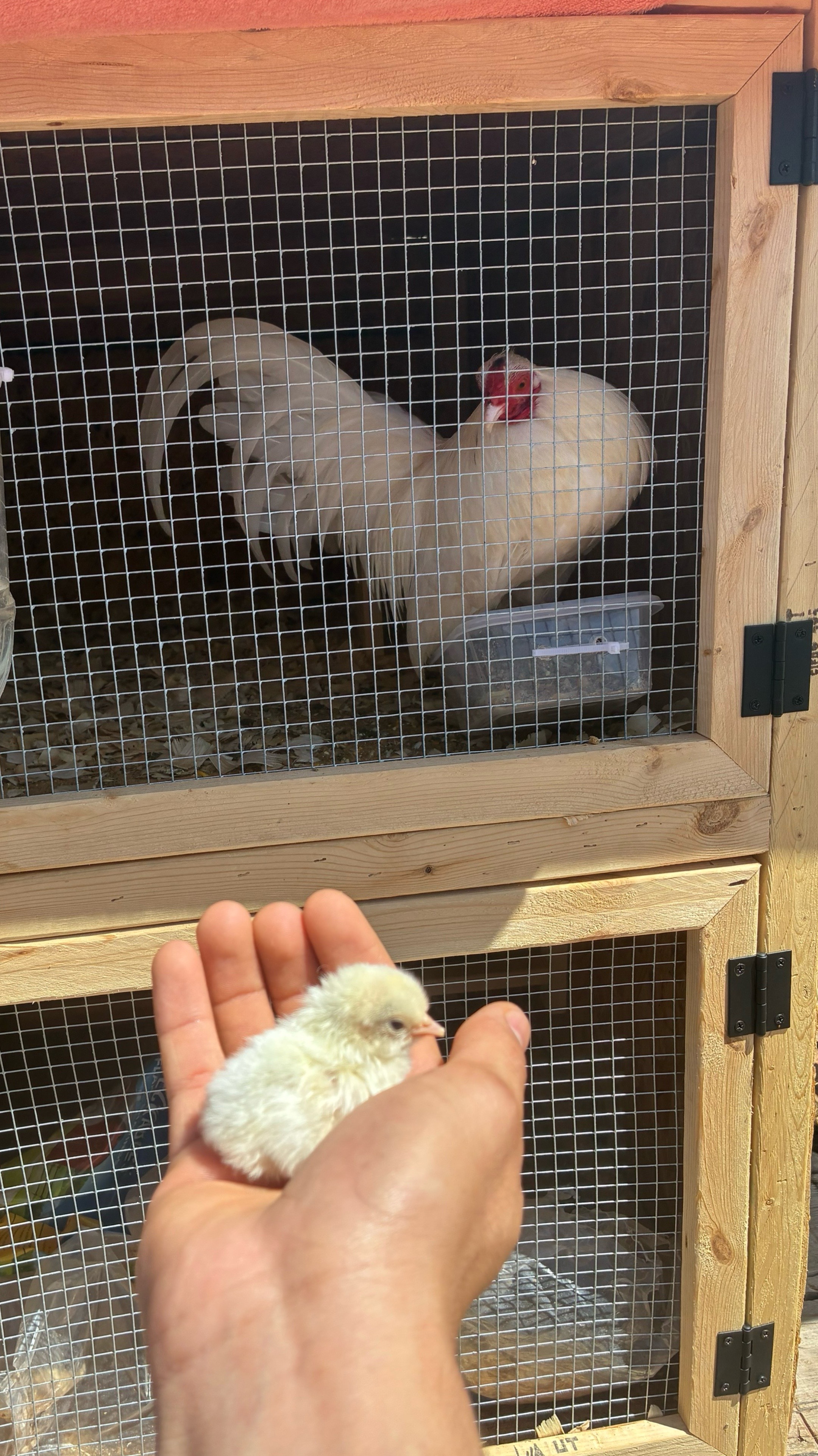 @FARMING.MM56