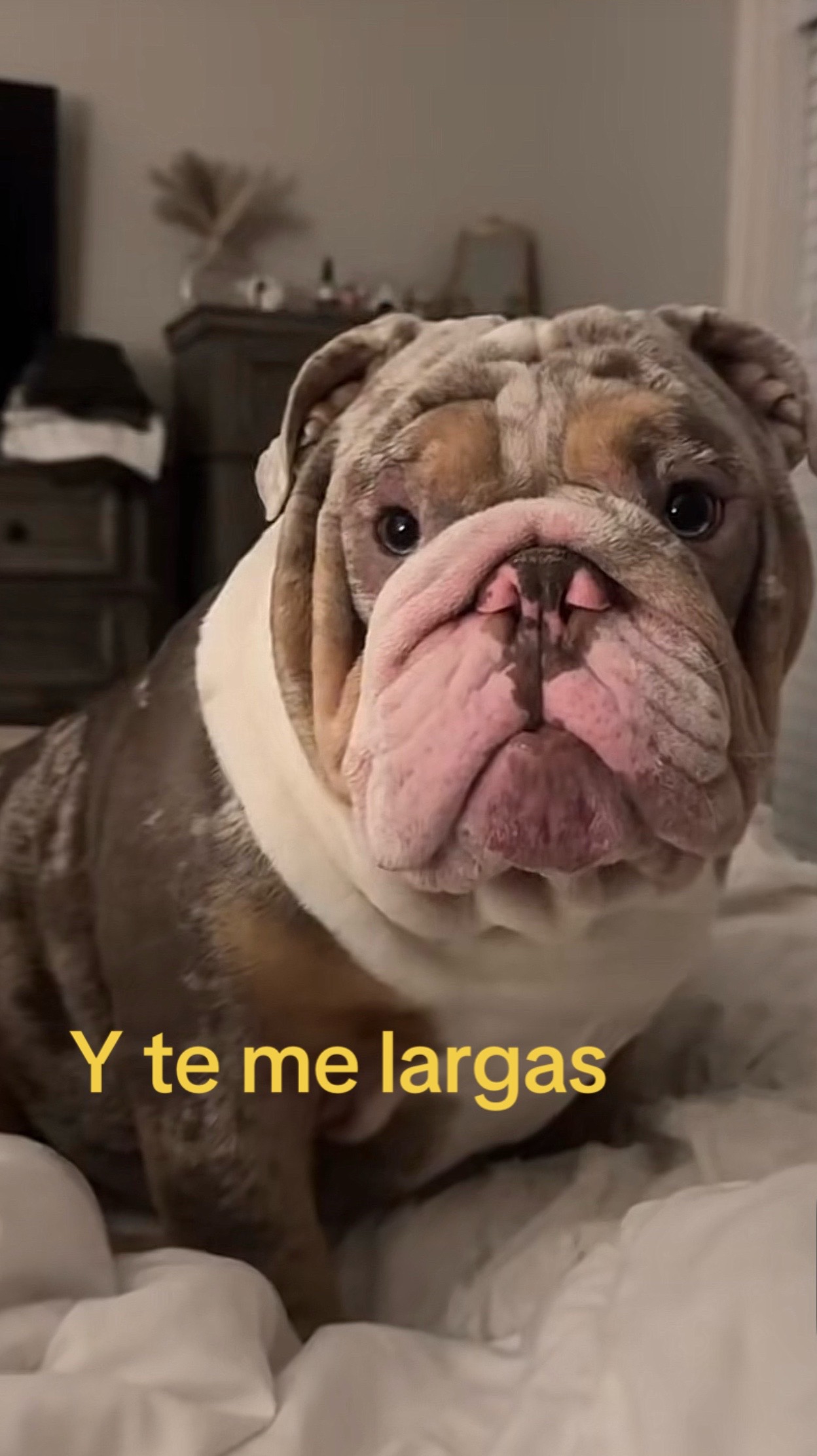 @Jennifer Xoé